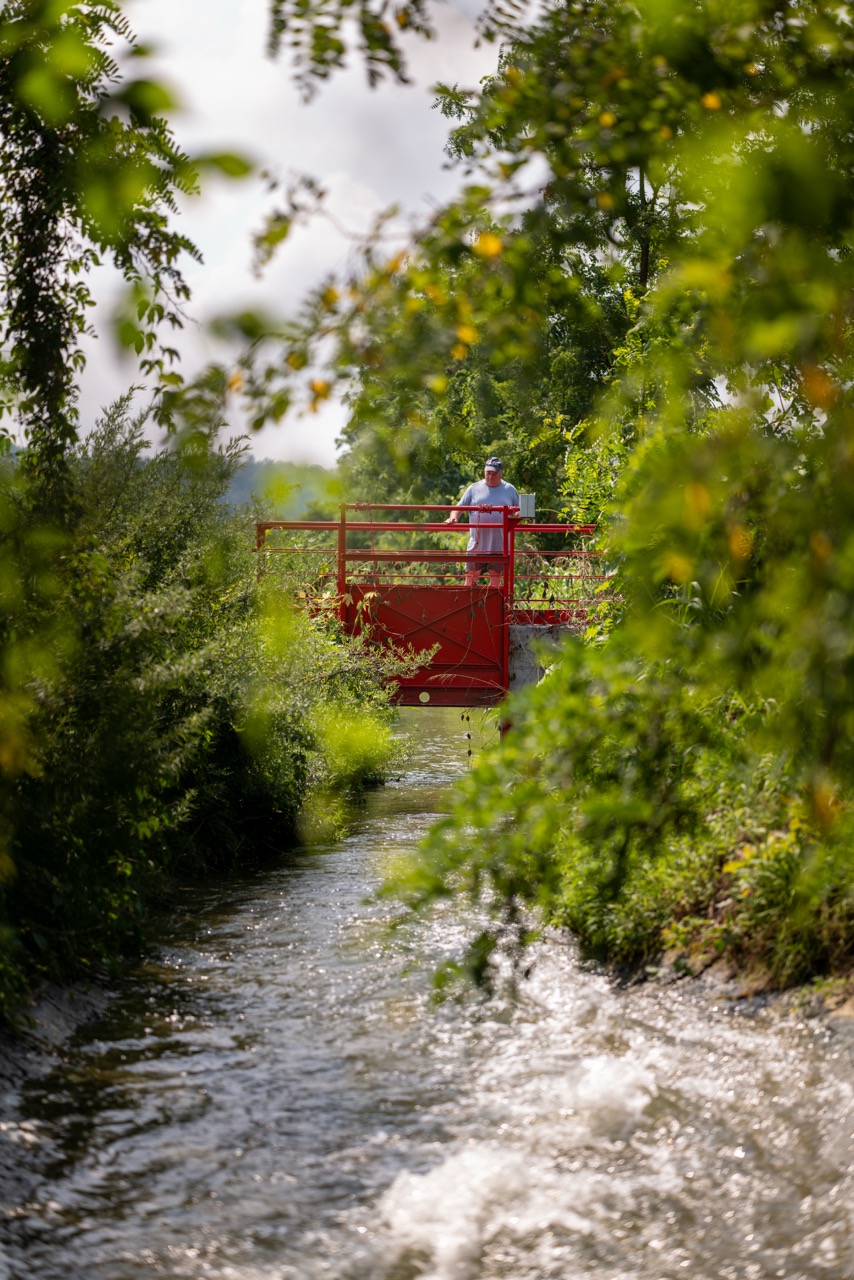 Groß (8 - L1010913 - 3f55f055-68ba-428f-aa5d-4d3f30a73c3b).jpeg