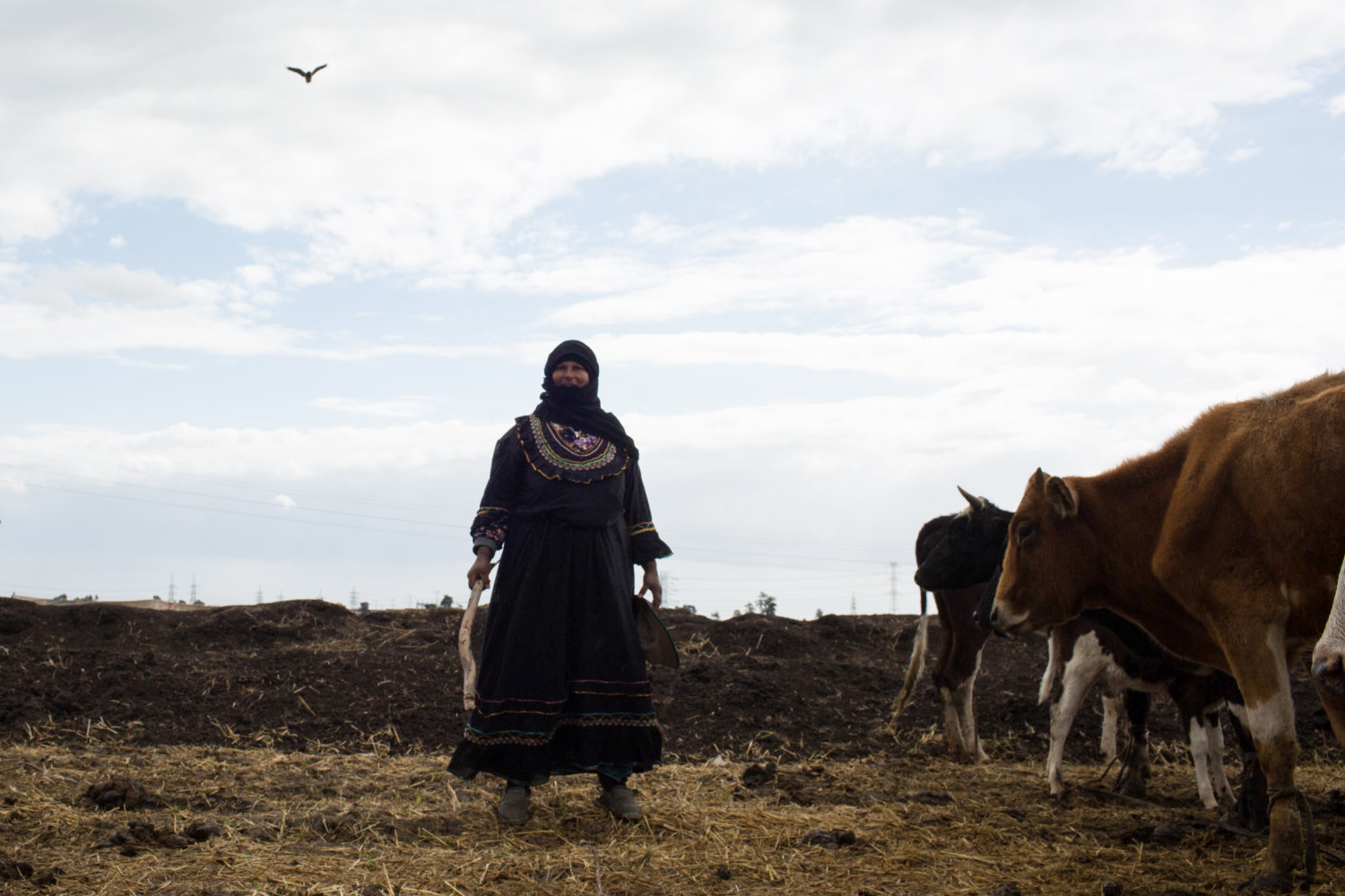 Bedouin