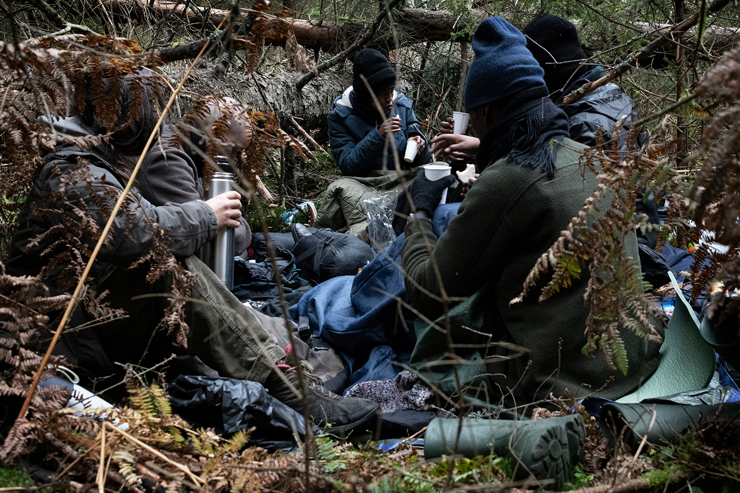 4 - TheJungle_004 - 8546400d-32ab-47ba-9e75-ba4694b27ba6.jpg