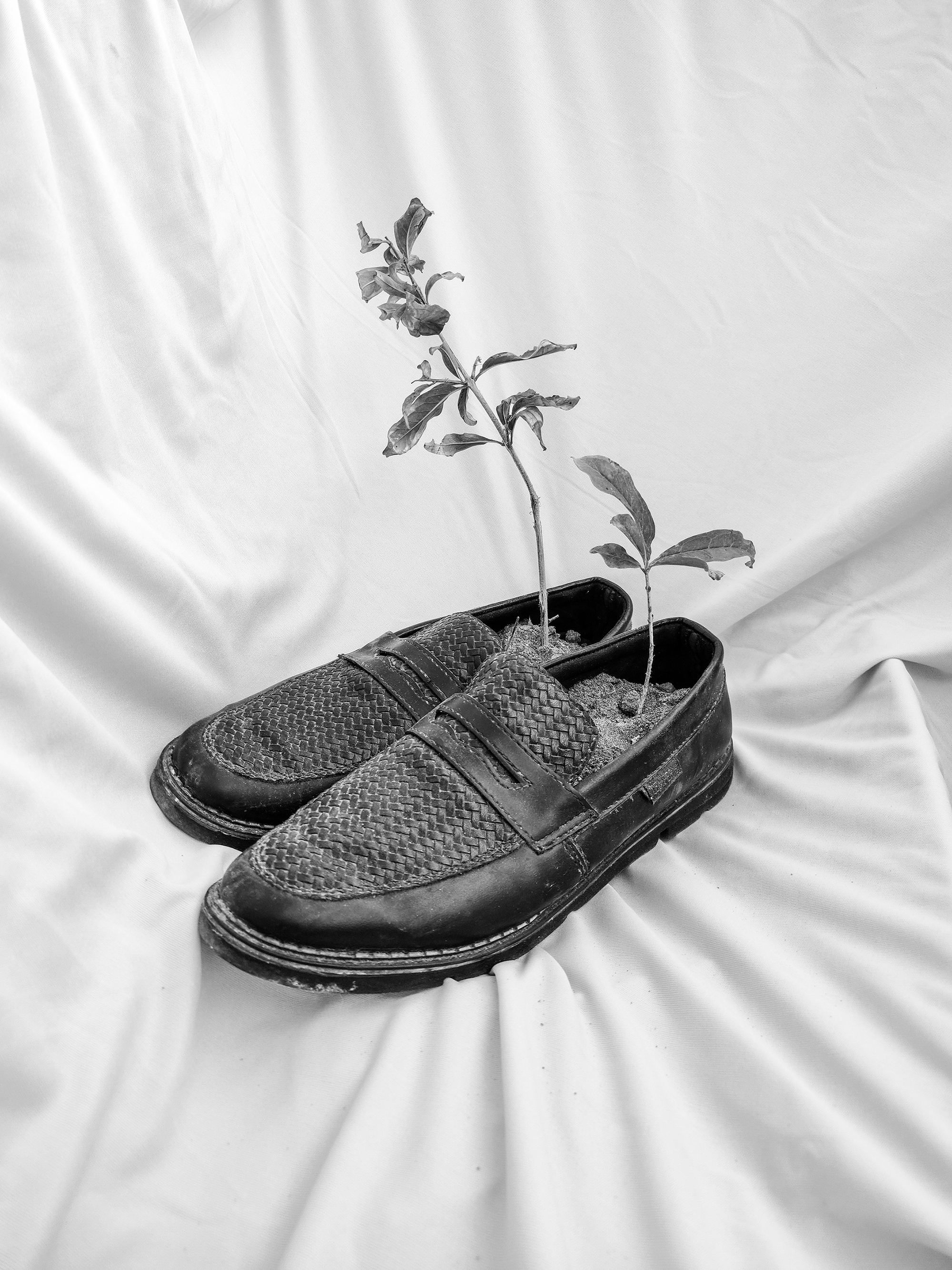 7 - In a memory of an absent father - 7c6d078b-39c1-40d3-be8e-b1e7ea7f7bc8.jpg