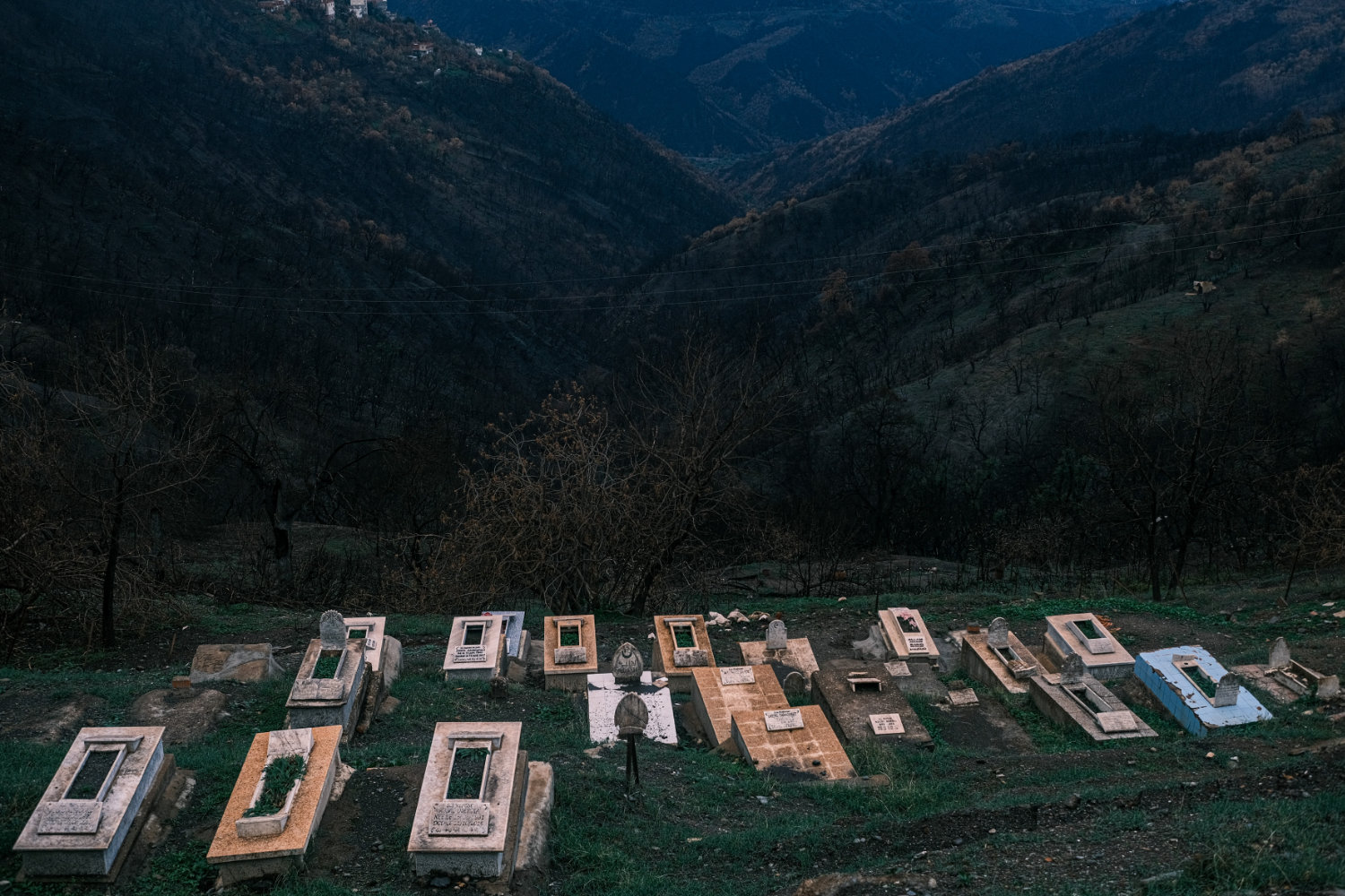 Kabylie - Trauma of the mega-fire