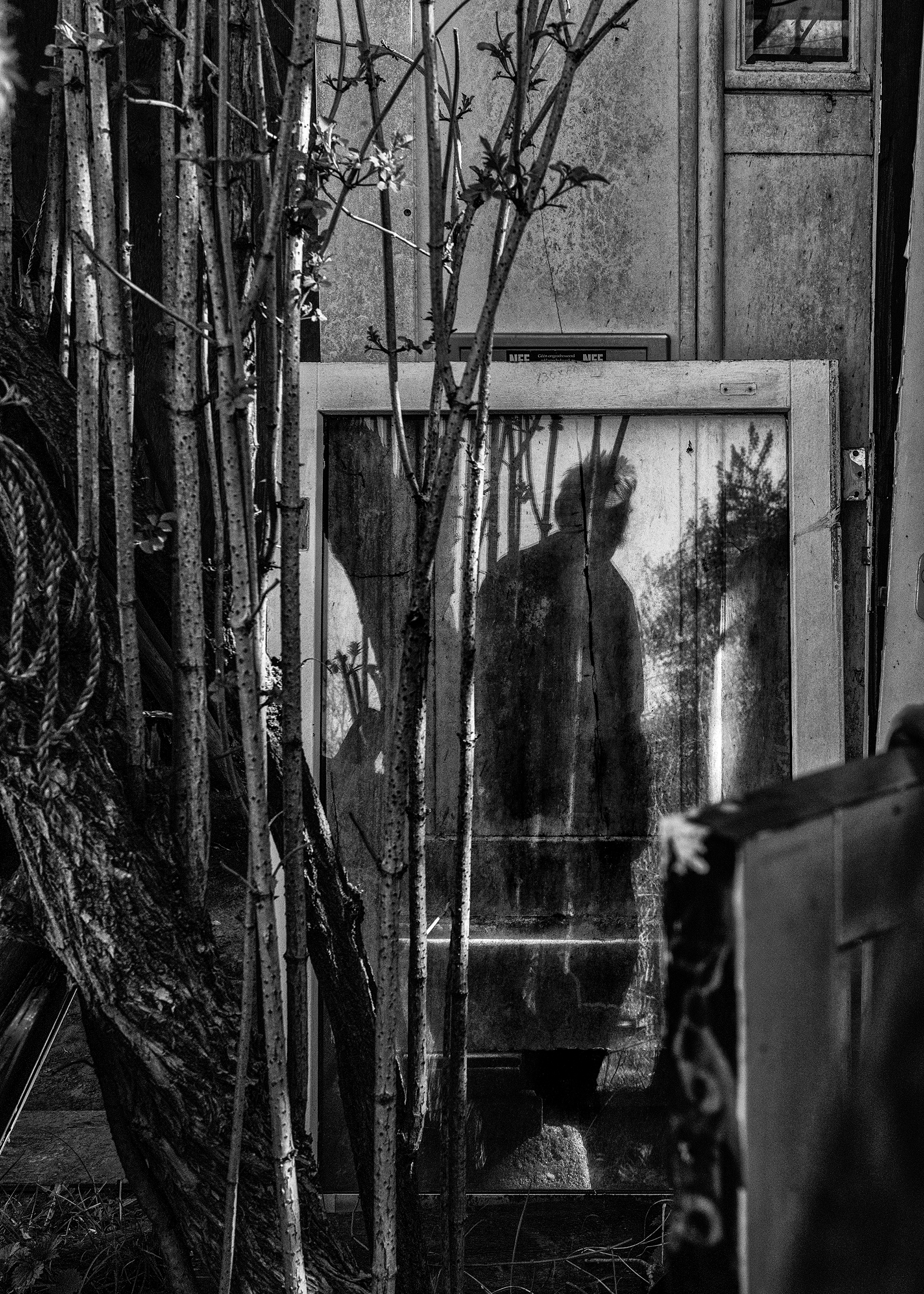 9 - Reflection - 877ee83b-94bf-4d5a-bb05-499f70dccb92.jpg