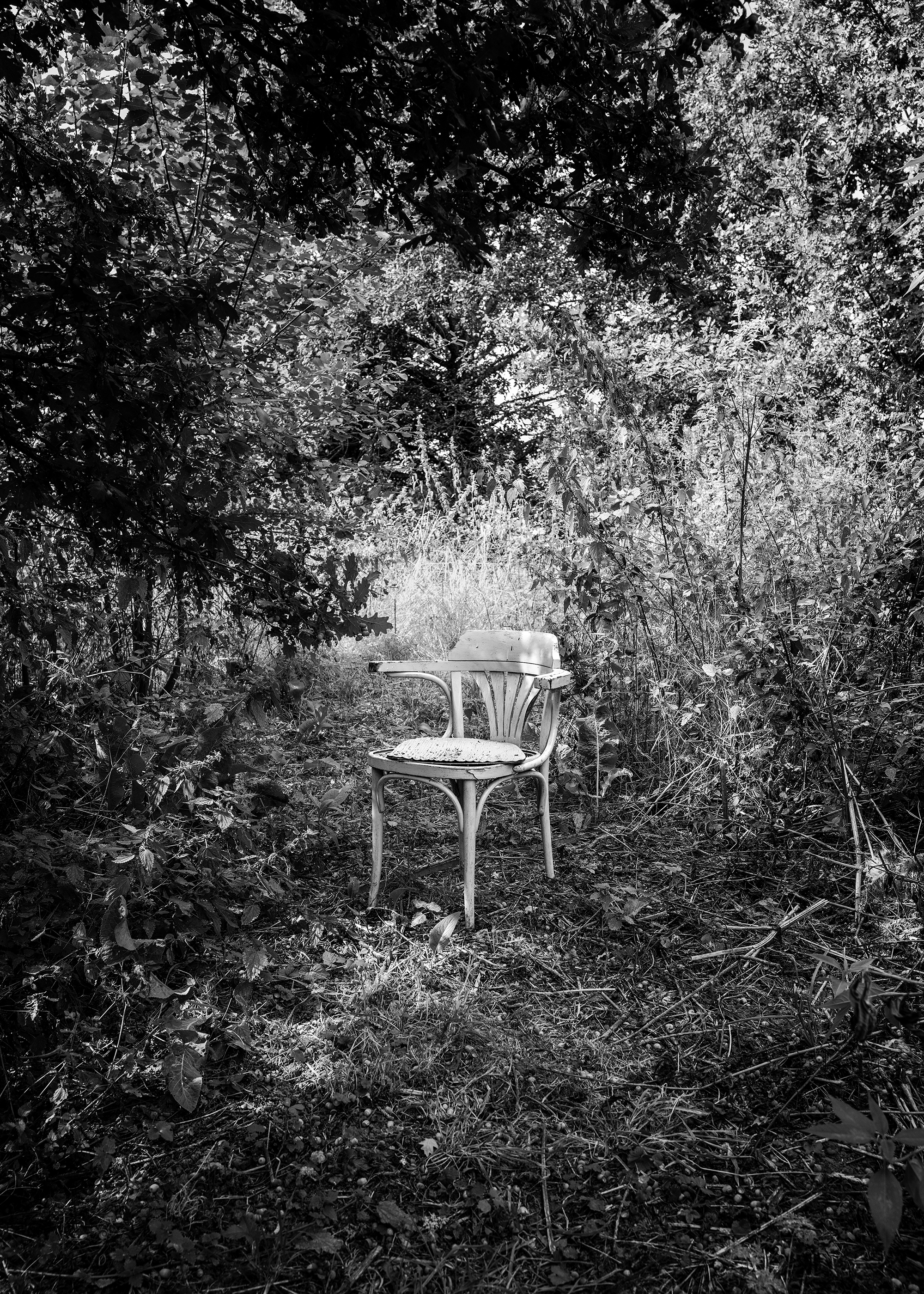 8 - Empty Chair - 2fdcb77a-ab36-4b57-bf3e-0a69b5600ac5.jpg