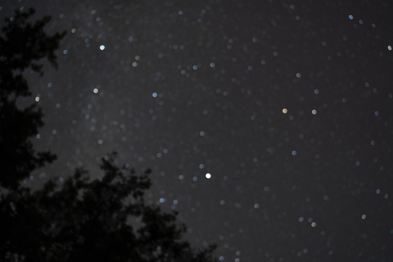 Groß (6 - Silenced Past Is Present_06 - f8fd456d-2b7f-4006-add5-f204aee97bba).jpeg