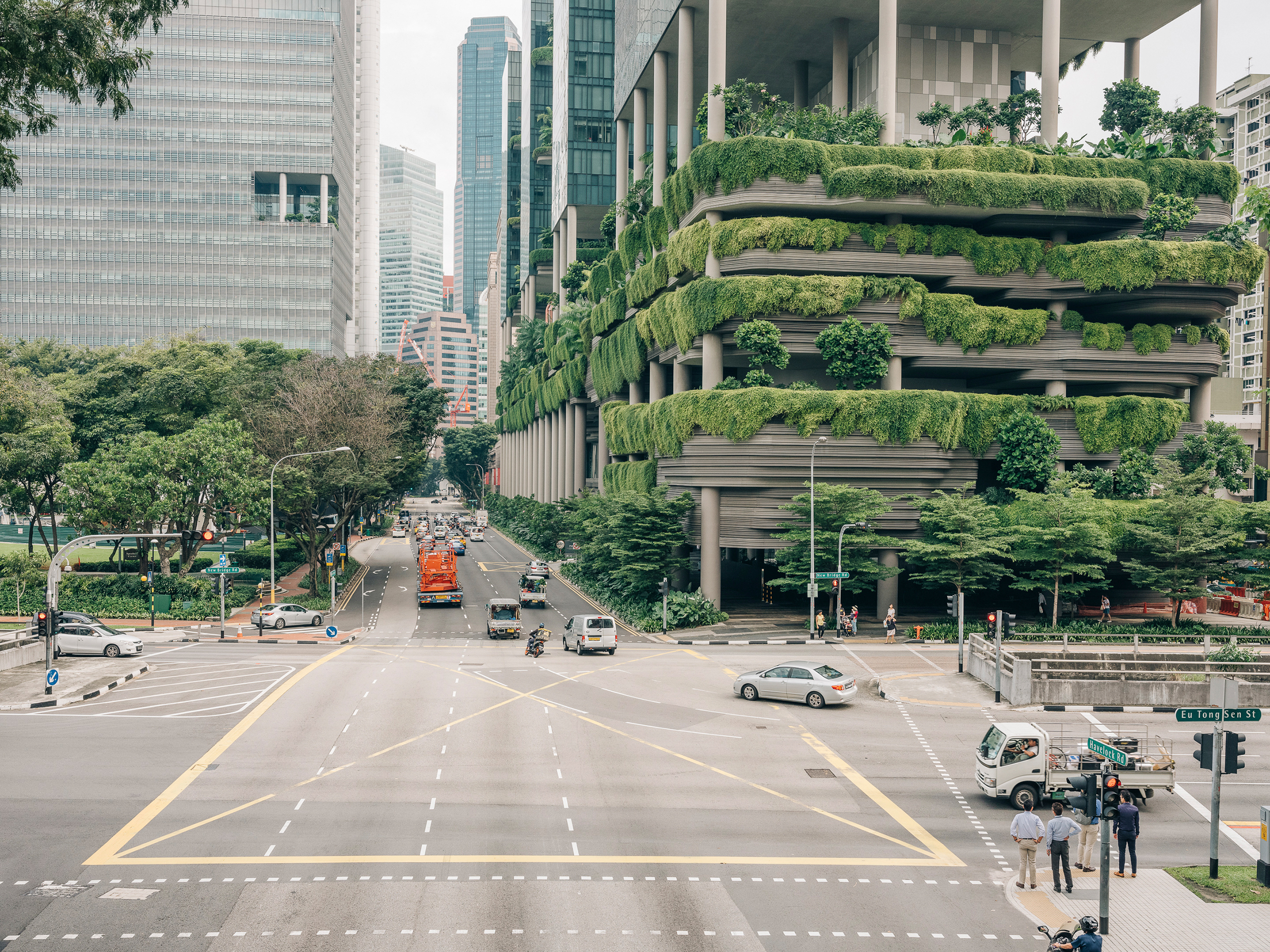 The City in the Forest