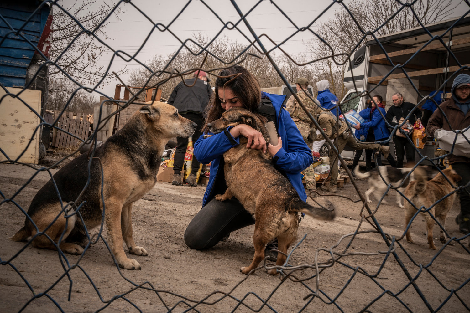 Refugee Animals