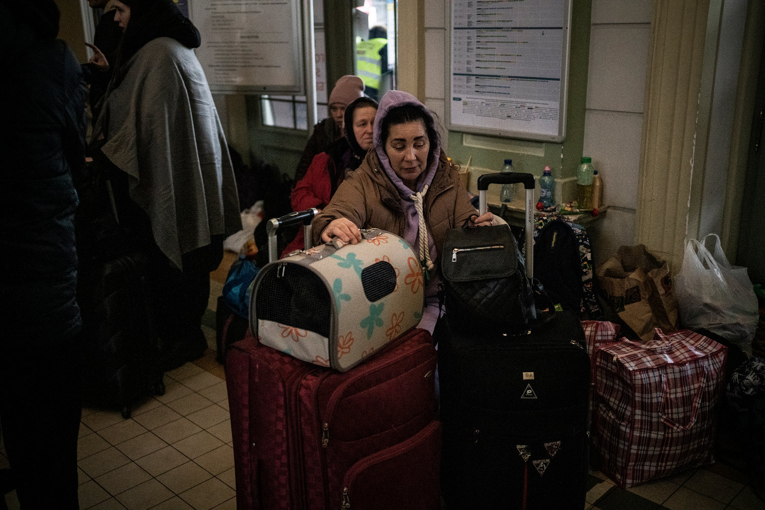 Refugee Animals