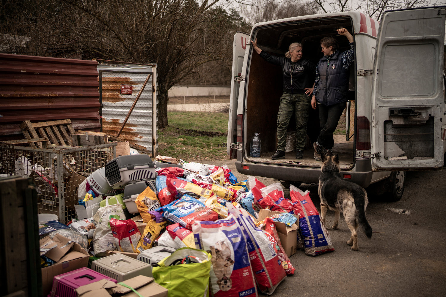 Refugee Animals