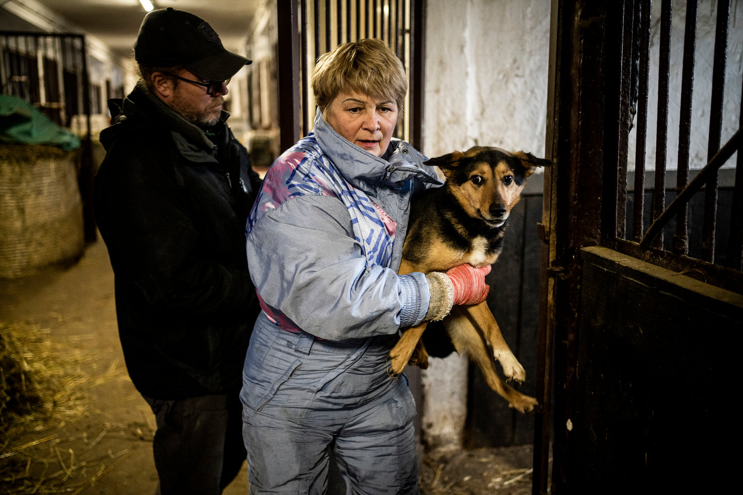 Refugee Animals