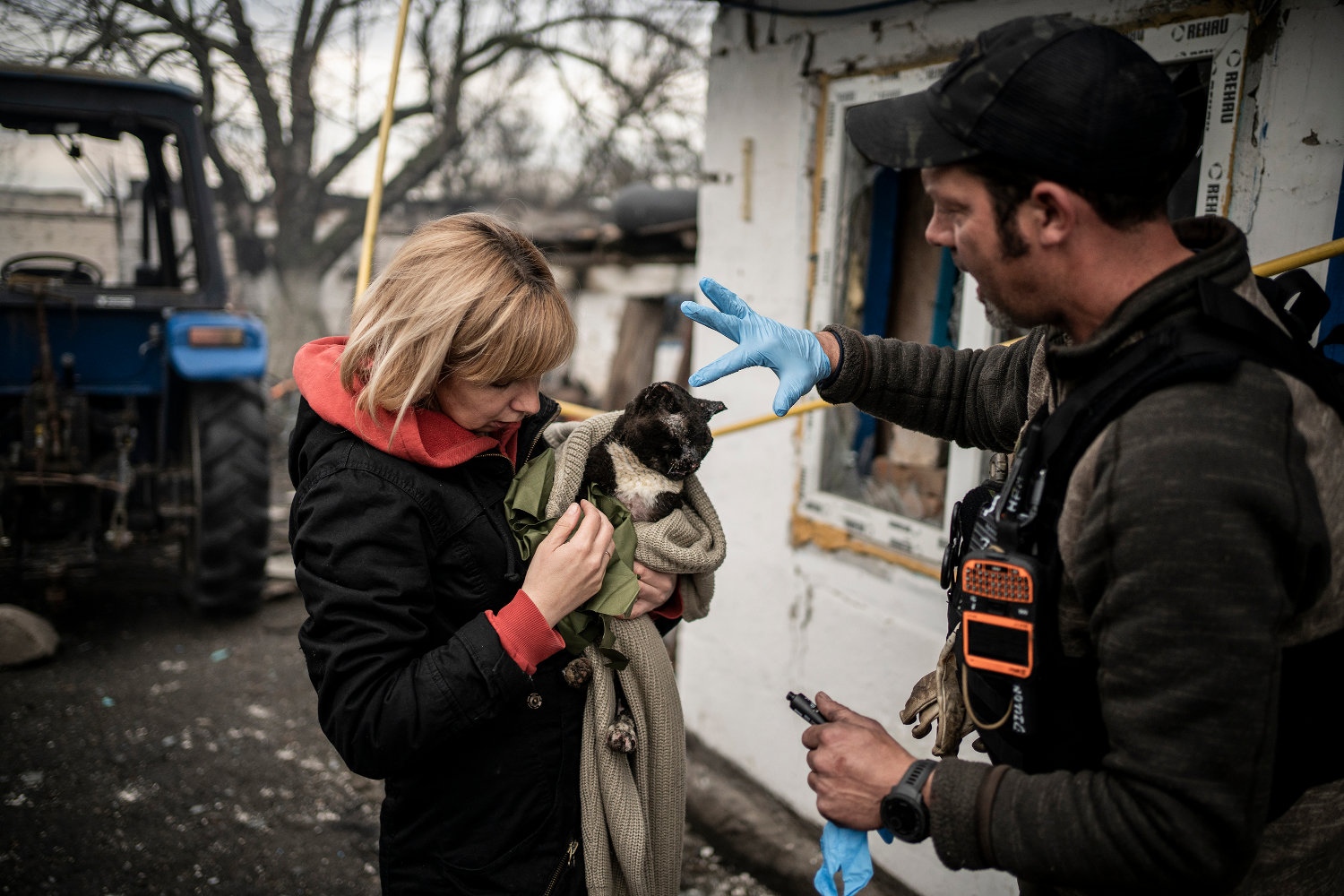 Refugee Animals