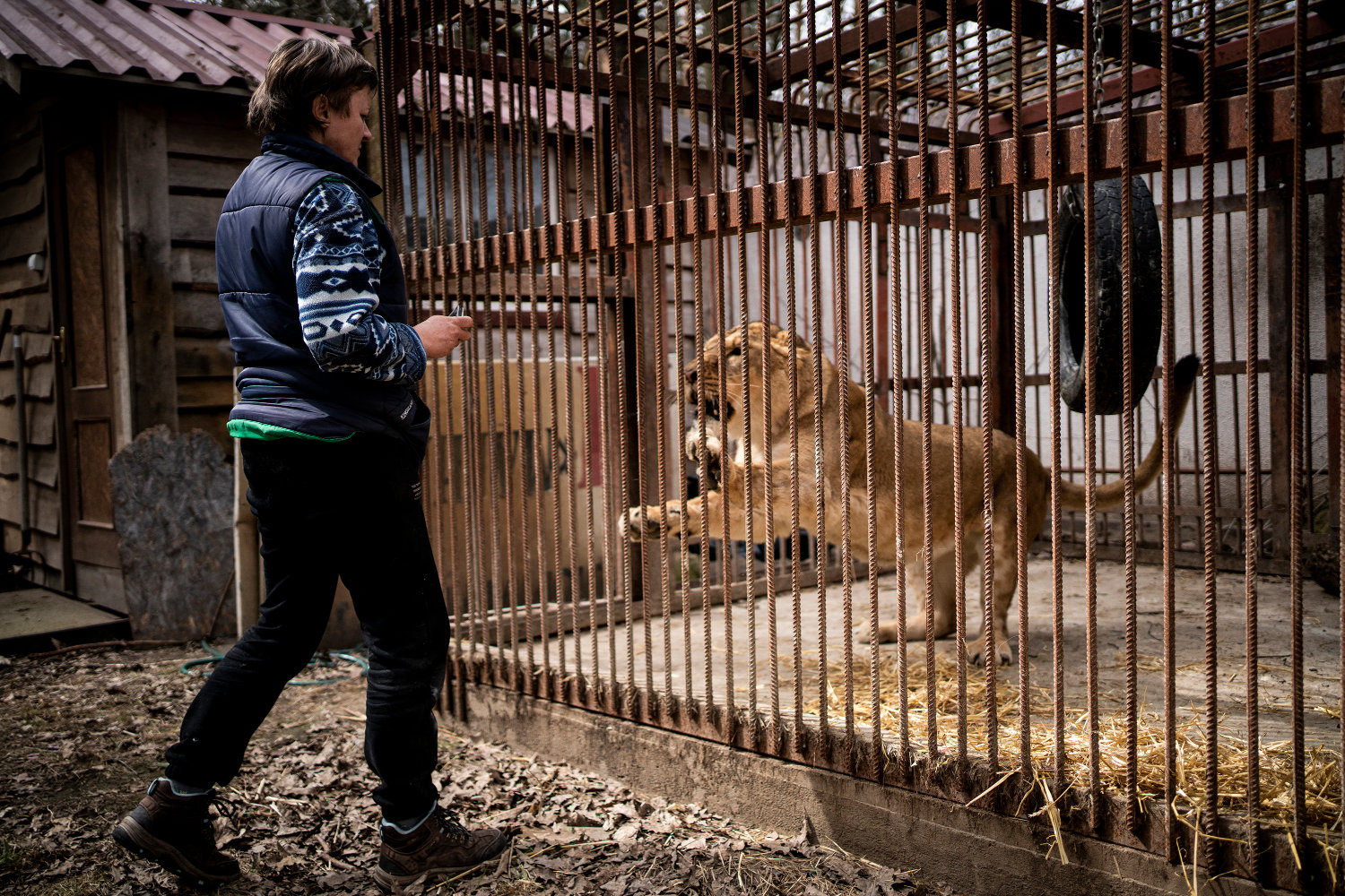 Refugee Animals