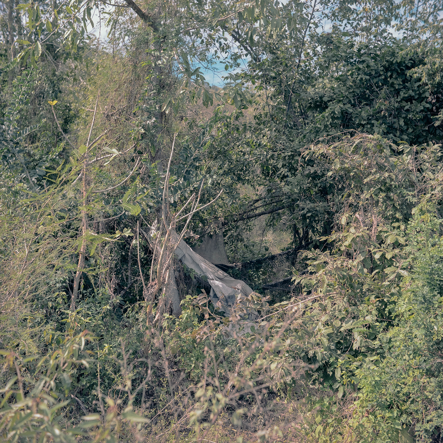 7 - Lost Treasures - f8baae65-b338-4797-9c79-2c0e17ecfd57.jpg