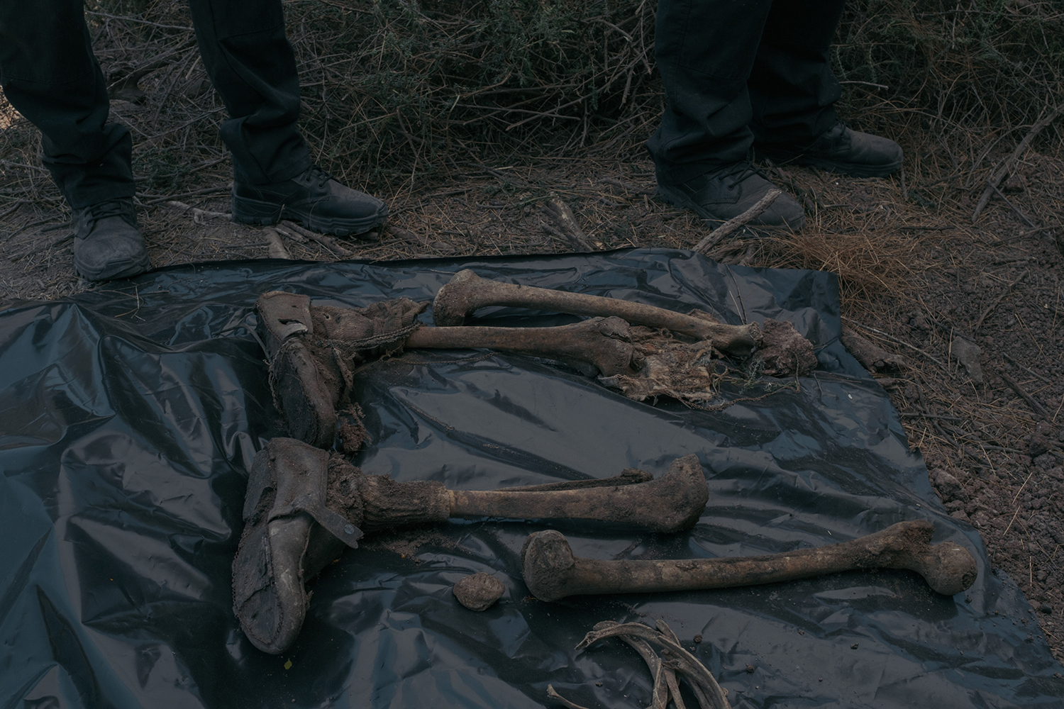 3 - Lost Treasures - af542e3e-bb66-4da8-9632-f472cce9bb13.jpg