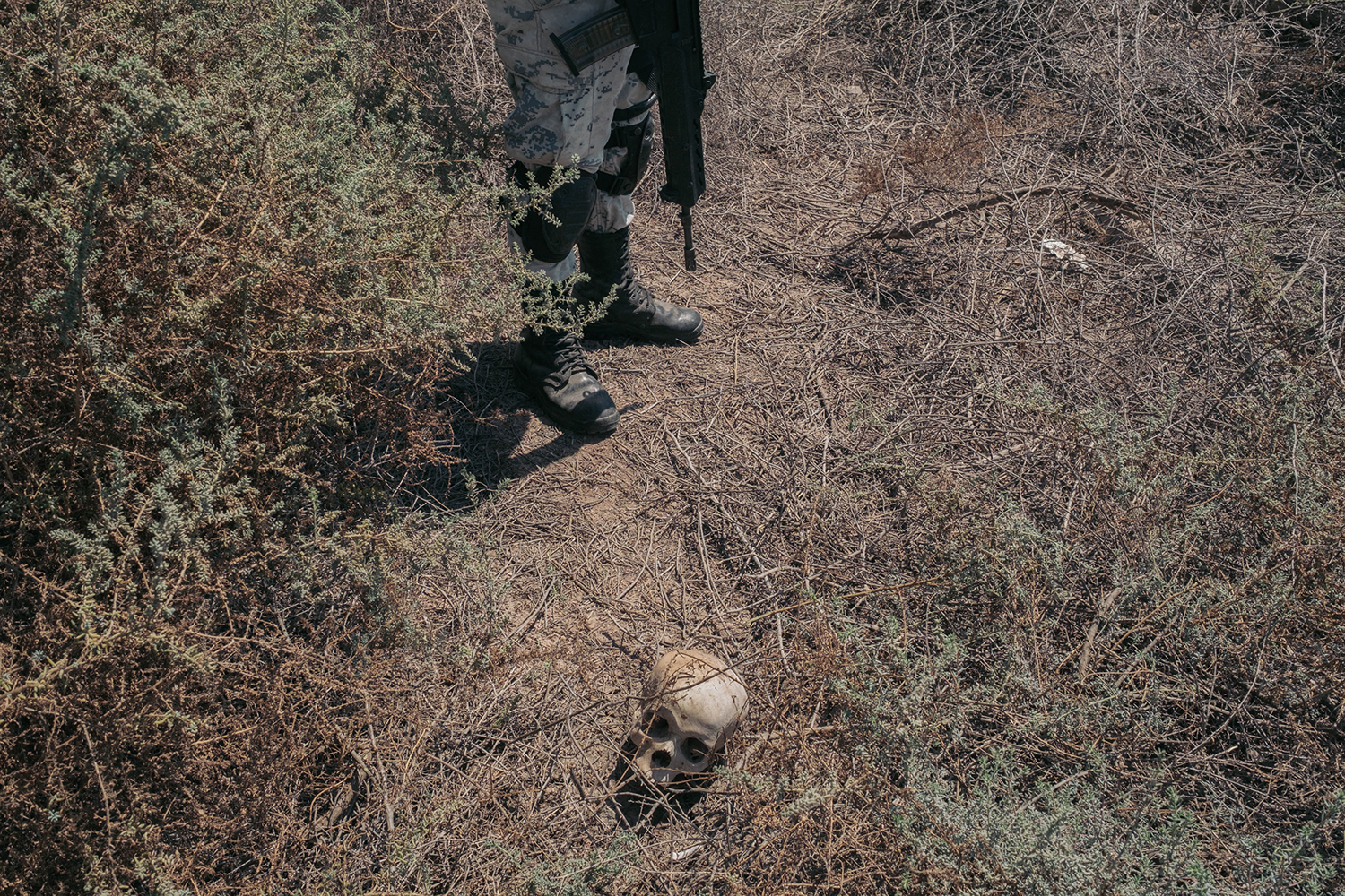 2 - Lost Treasures - 3818d59c-a0bc-4e9b-931c-1930afe1b637.jpg