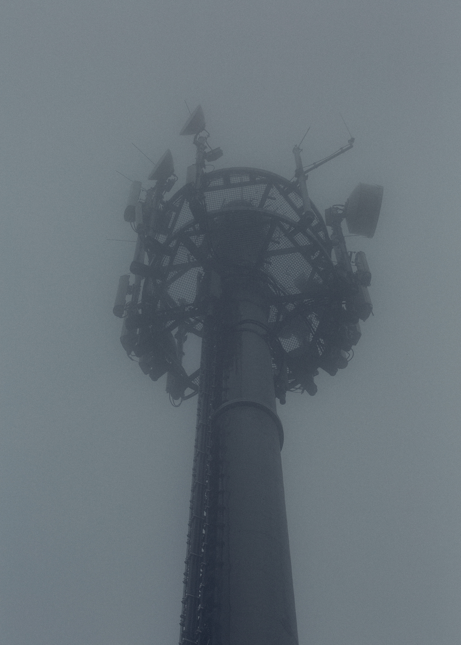 4 - _22A9348 - 5df5f86f-4041-4425-8171-392d703c7cc9.jpg