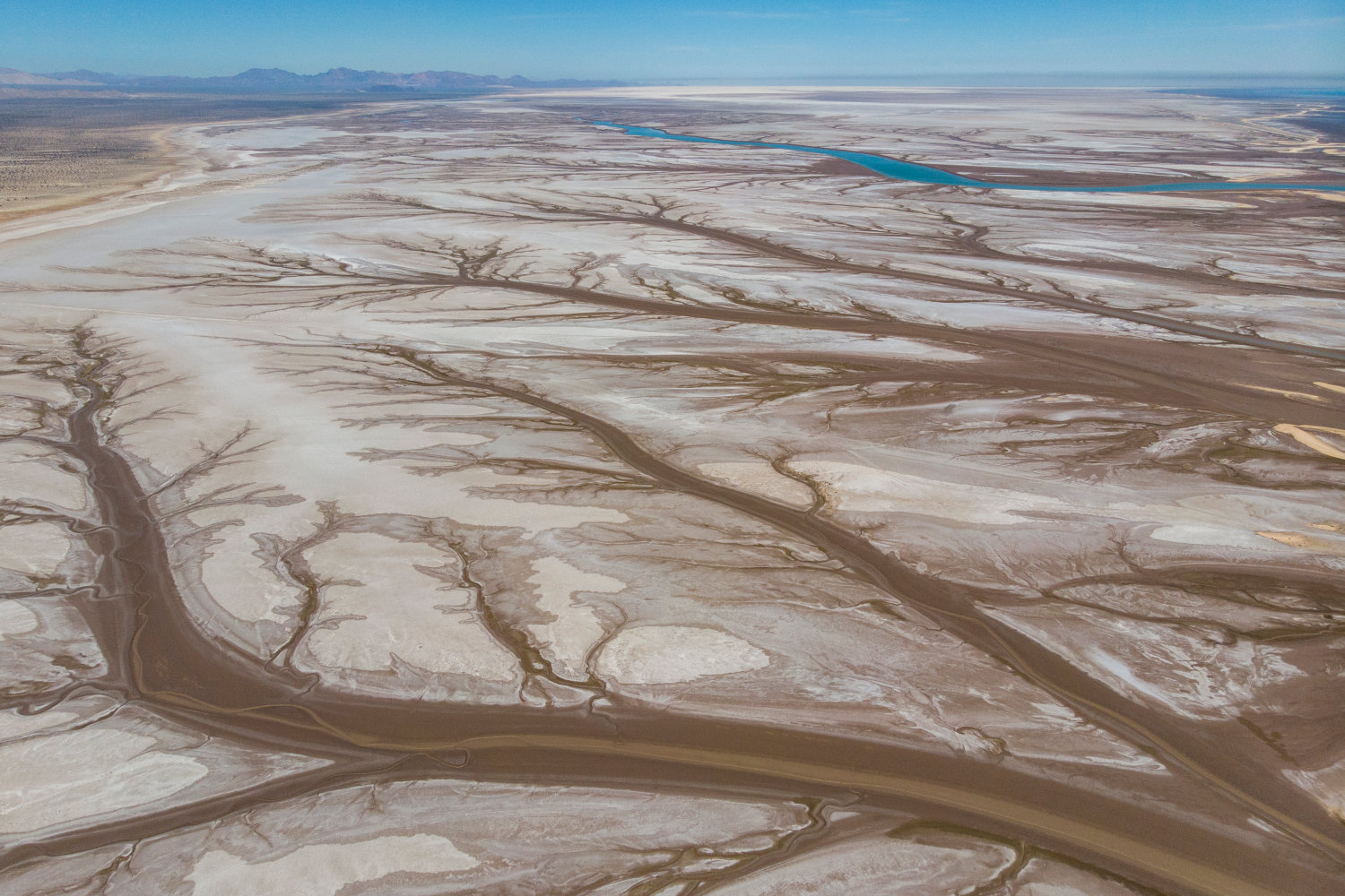 The dying River