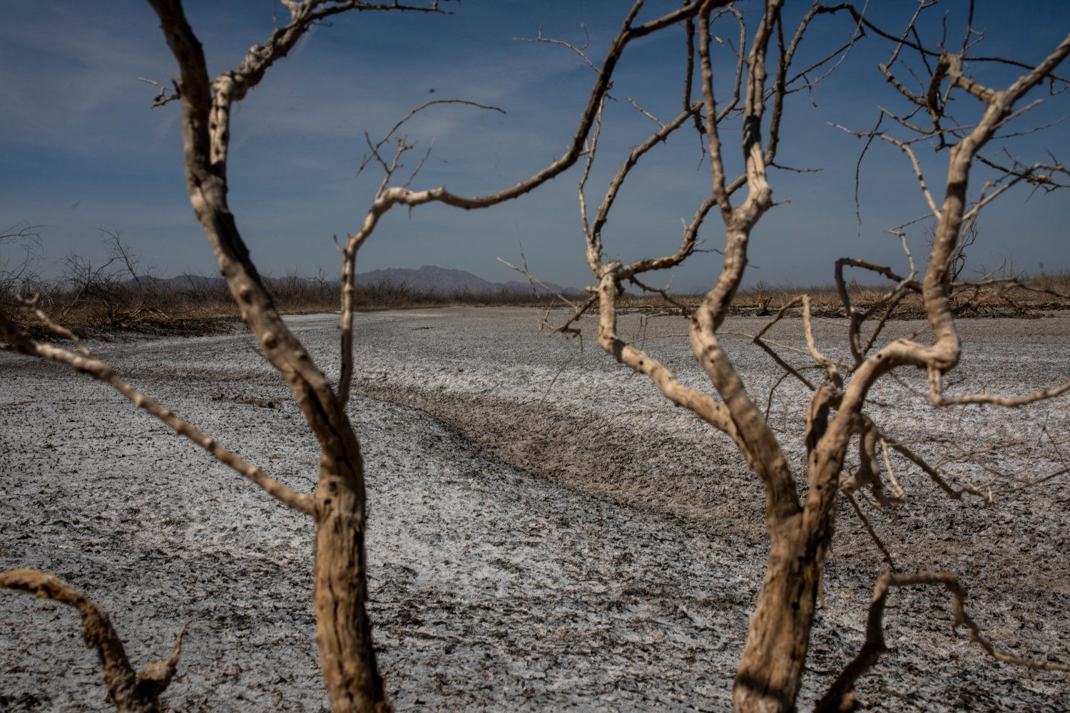 The dying River
