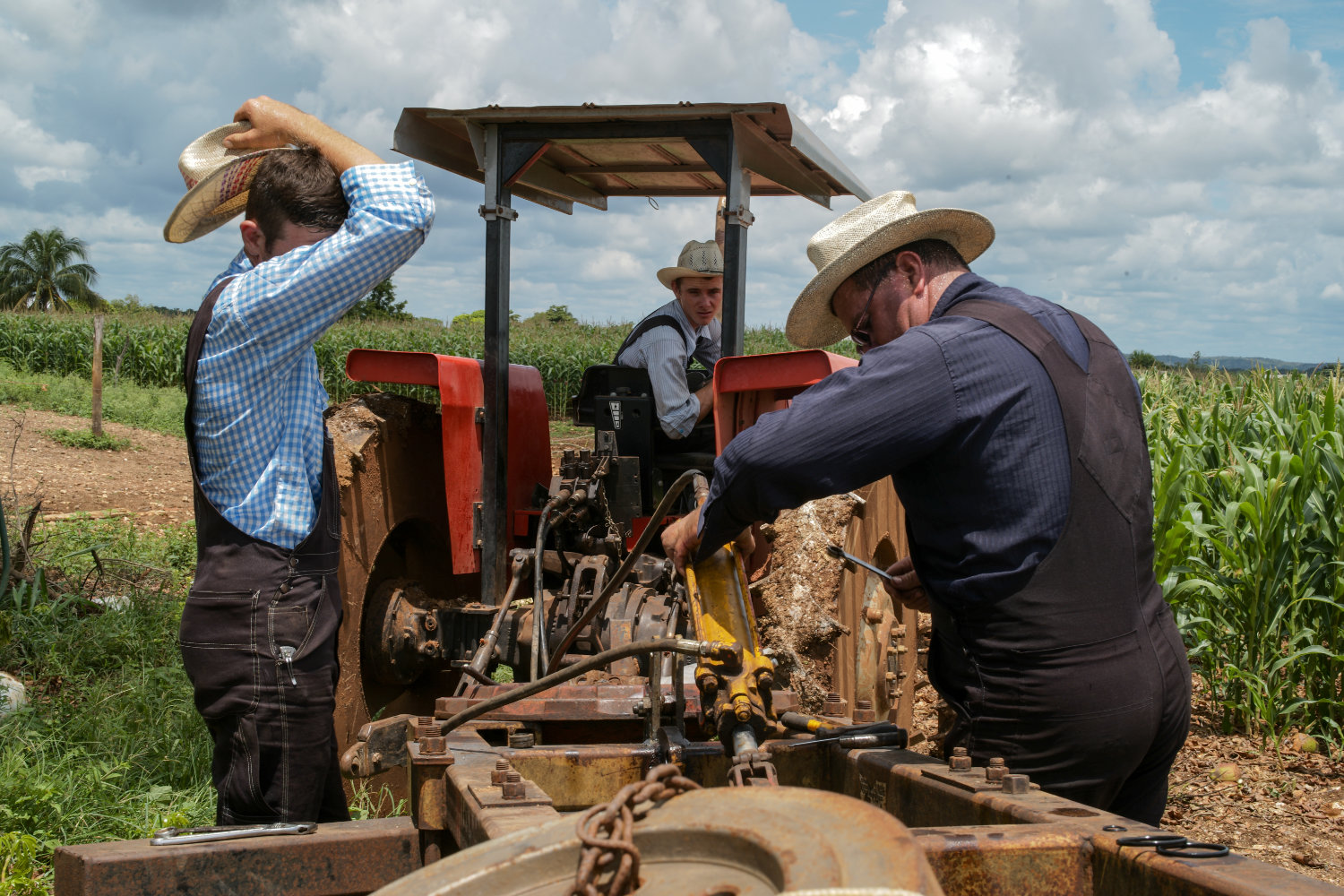 The Mennonites of Bacalar in front of environmental crisis