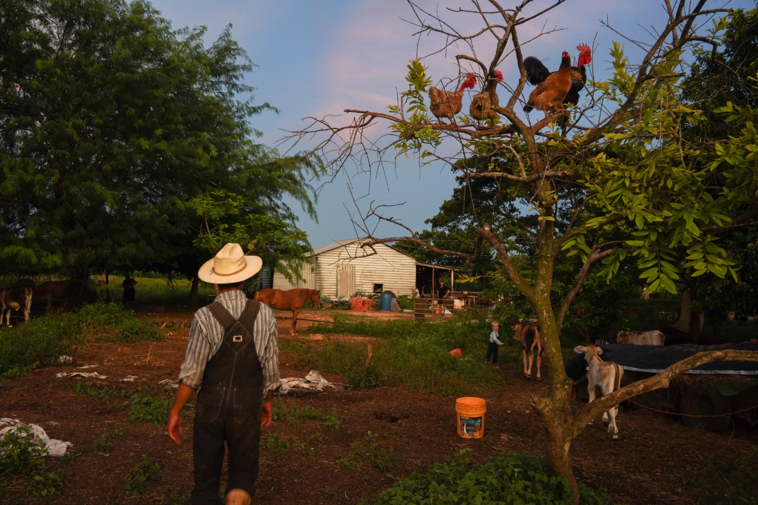 The Mennonites of Bacalar in front of environmental crisis