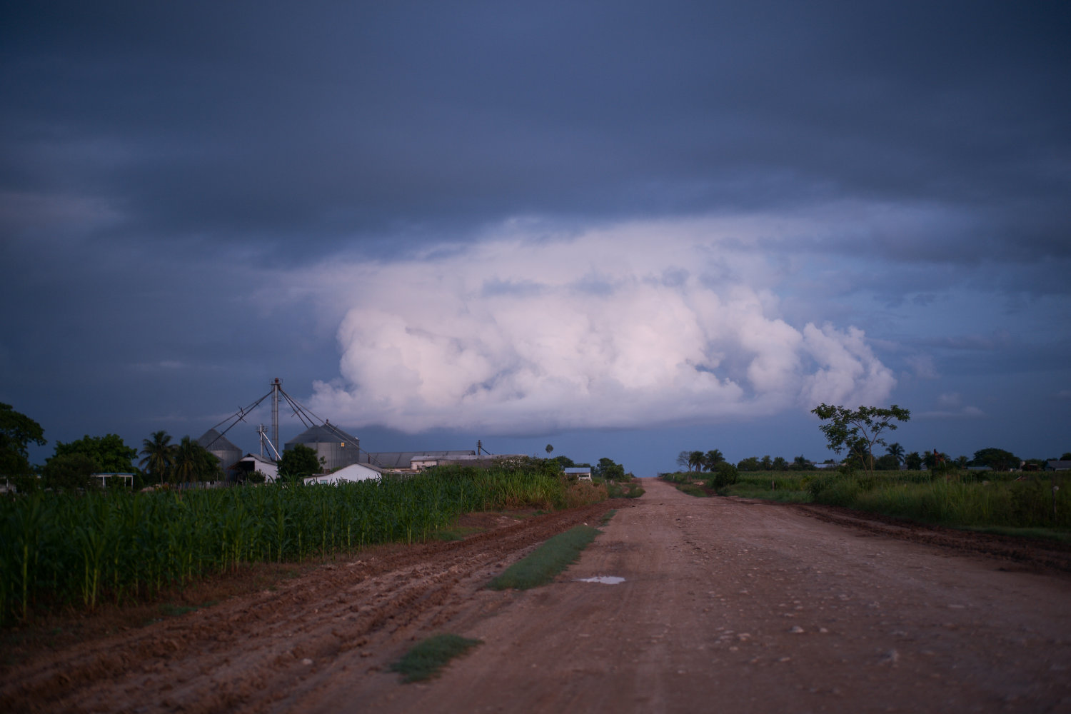The Mennonites of Bacalar in front of environmental crisis
