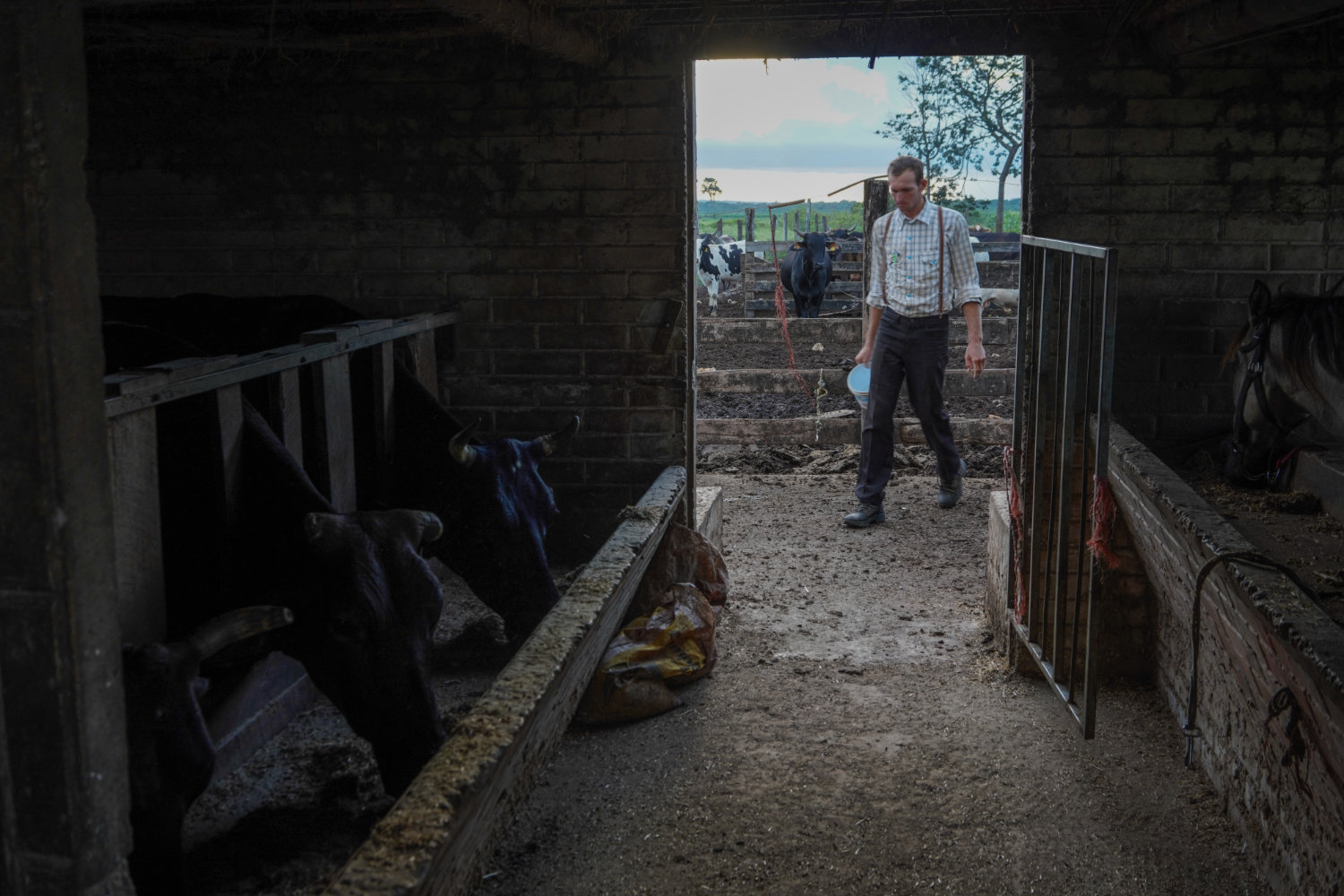 The Mennonites of Bacalar in front of environmental crisis