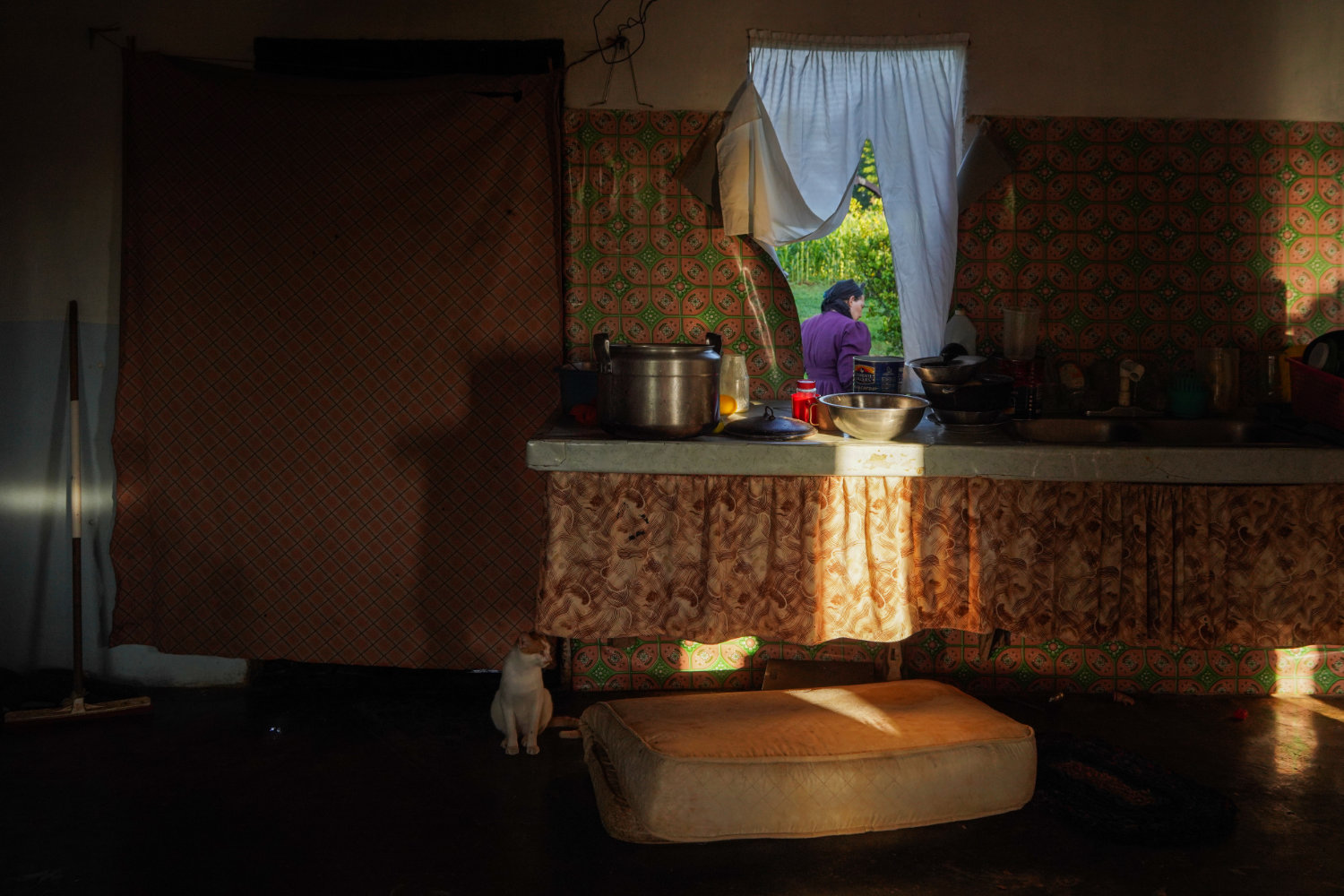 The Mennonites of Bacalar in front of environmental crisis