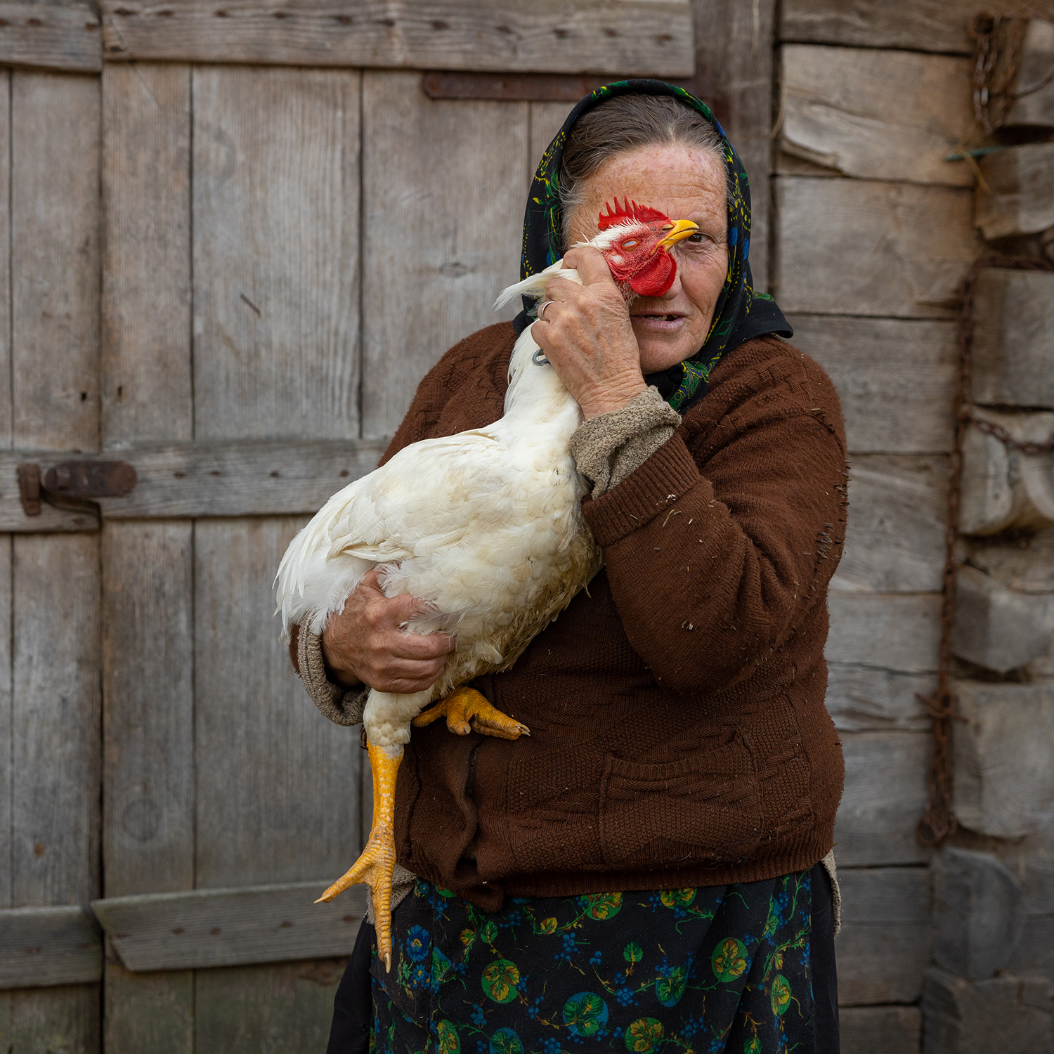 10 - The Eye of the Chicken - dc221927-2cfc-415f-bec0-6059b6e25498.jpg