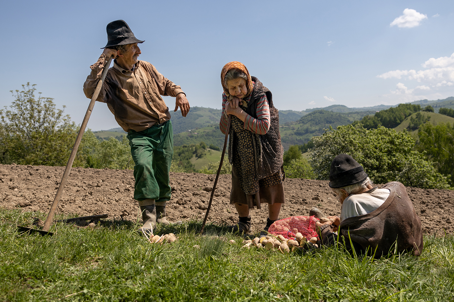 1 - Planting Potatoes - 222079fc-2ed0-43f9-b072-798440d5b10a.jpg