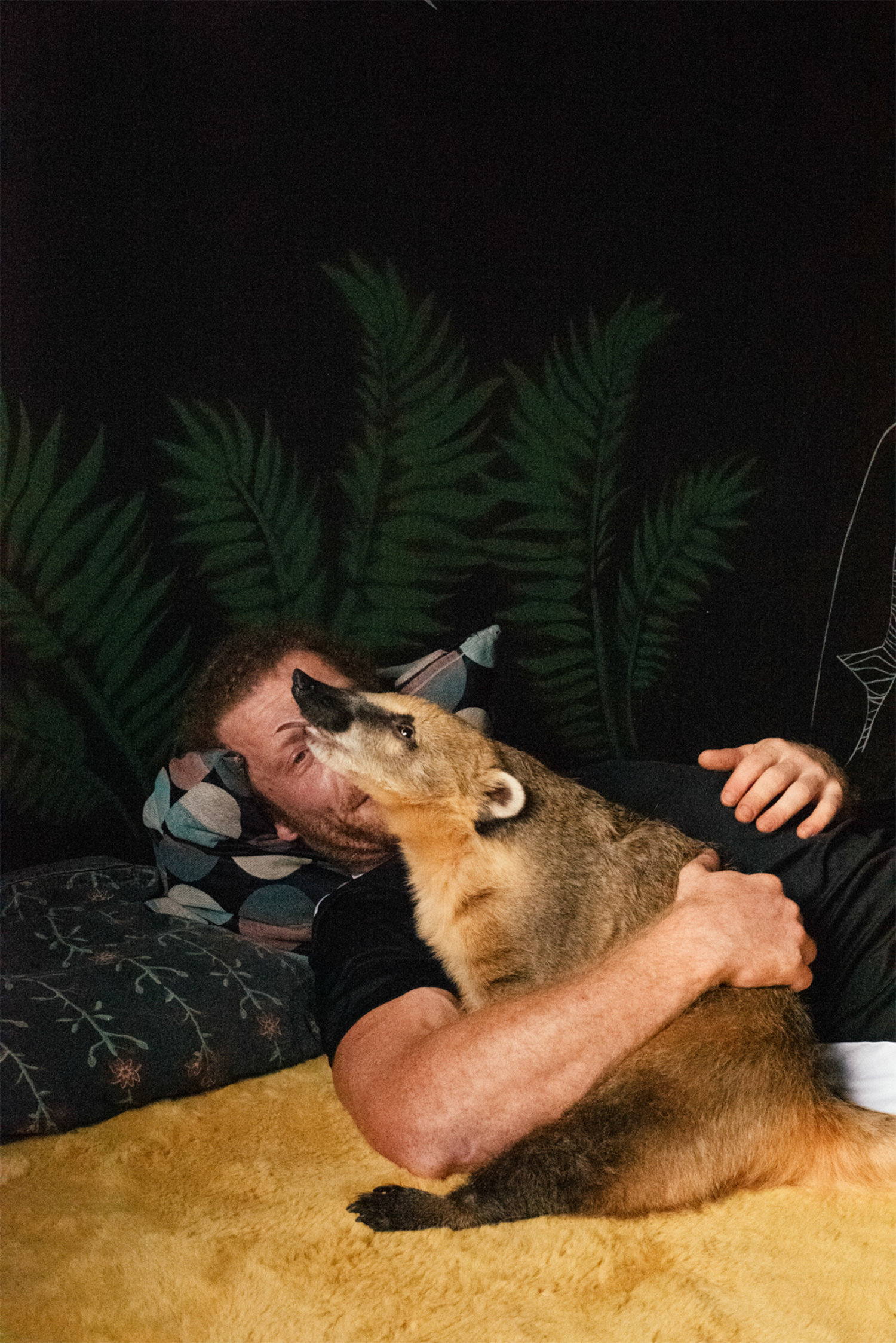 Fantastic animals
and how to pet them