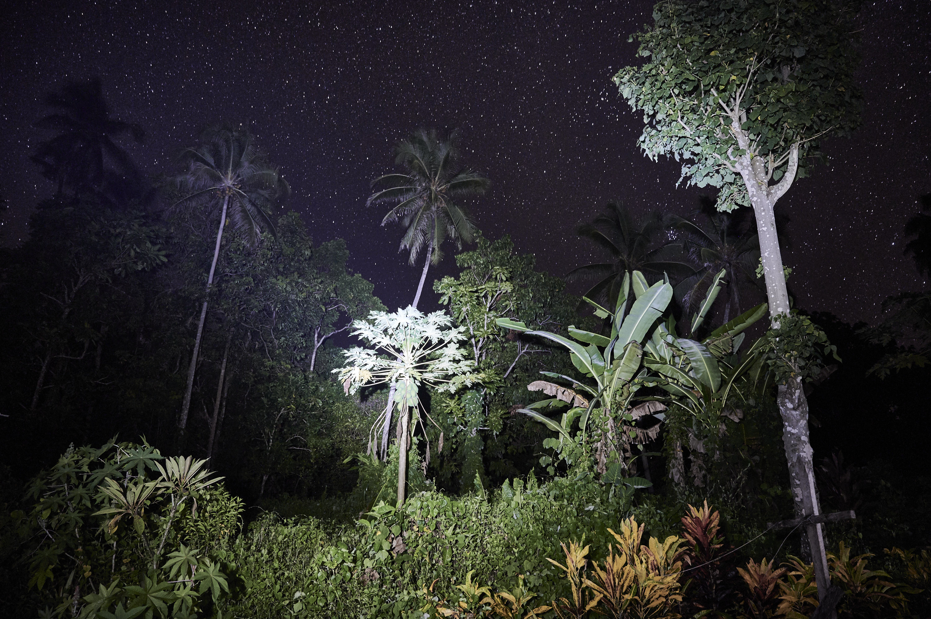Shark Callers in Papua New Guinea Resist Deep Seabed Mining
