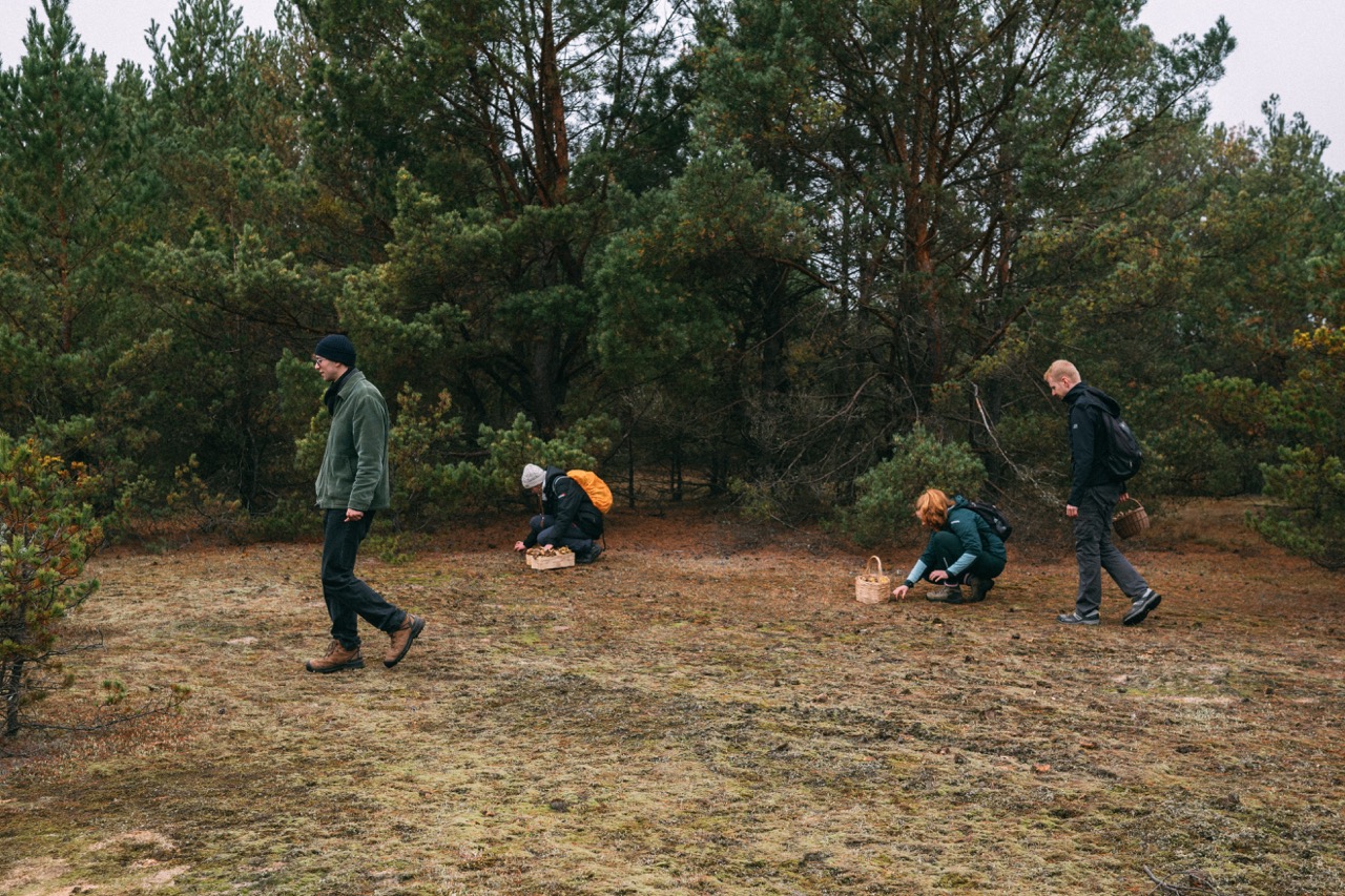 Groß (8 - Mushroom picking - a435d005-c102-4811-946d-71a1f7388713).jpeg