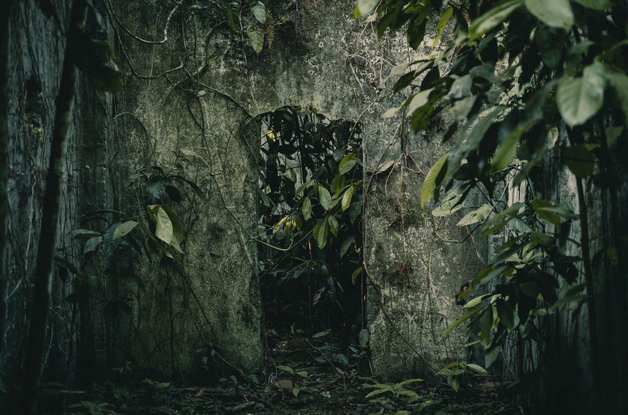 Groß (1 - Colombia_L.Arango-01 - 2b6389f7-74f2-4194-941b-2df8493b0438).jpeg