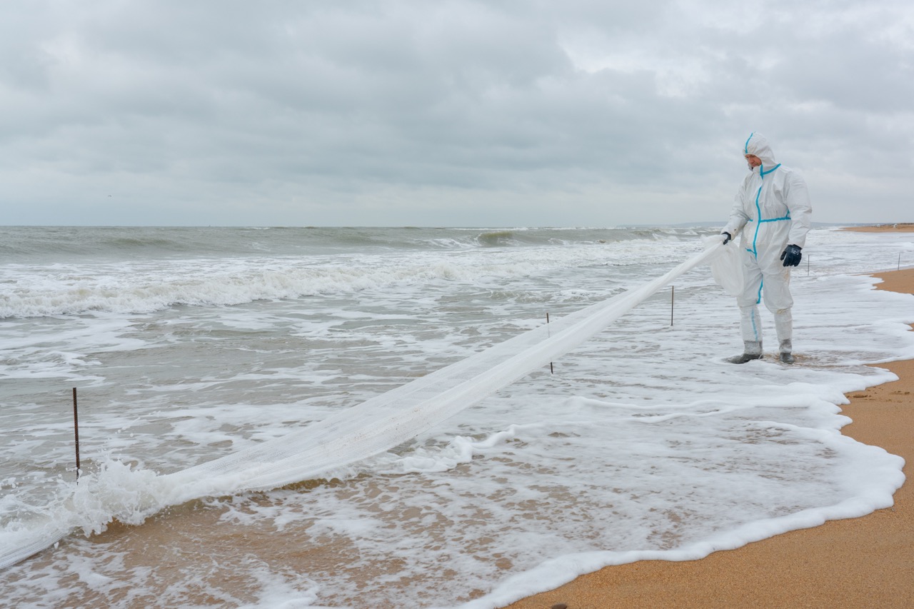 Groß (8 - A volunteer stretches -Kalyaev-s nets- along the coastline. - 2cdf4e3e-db14-4269