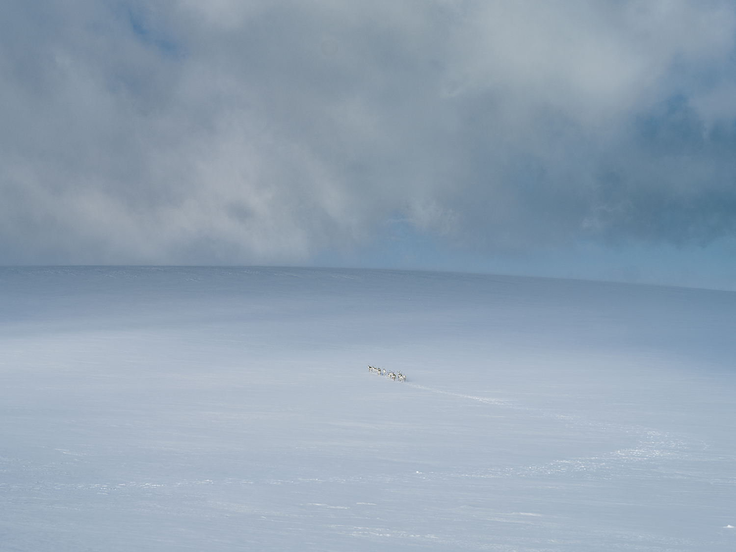 1 - Mehamnfjellet #1 - 2089849e-a568-46e5-882c-723c9679da41.jpg