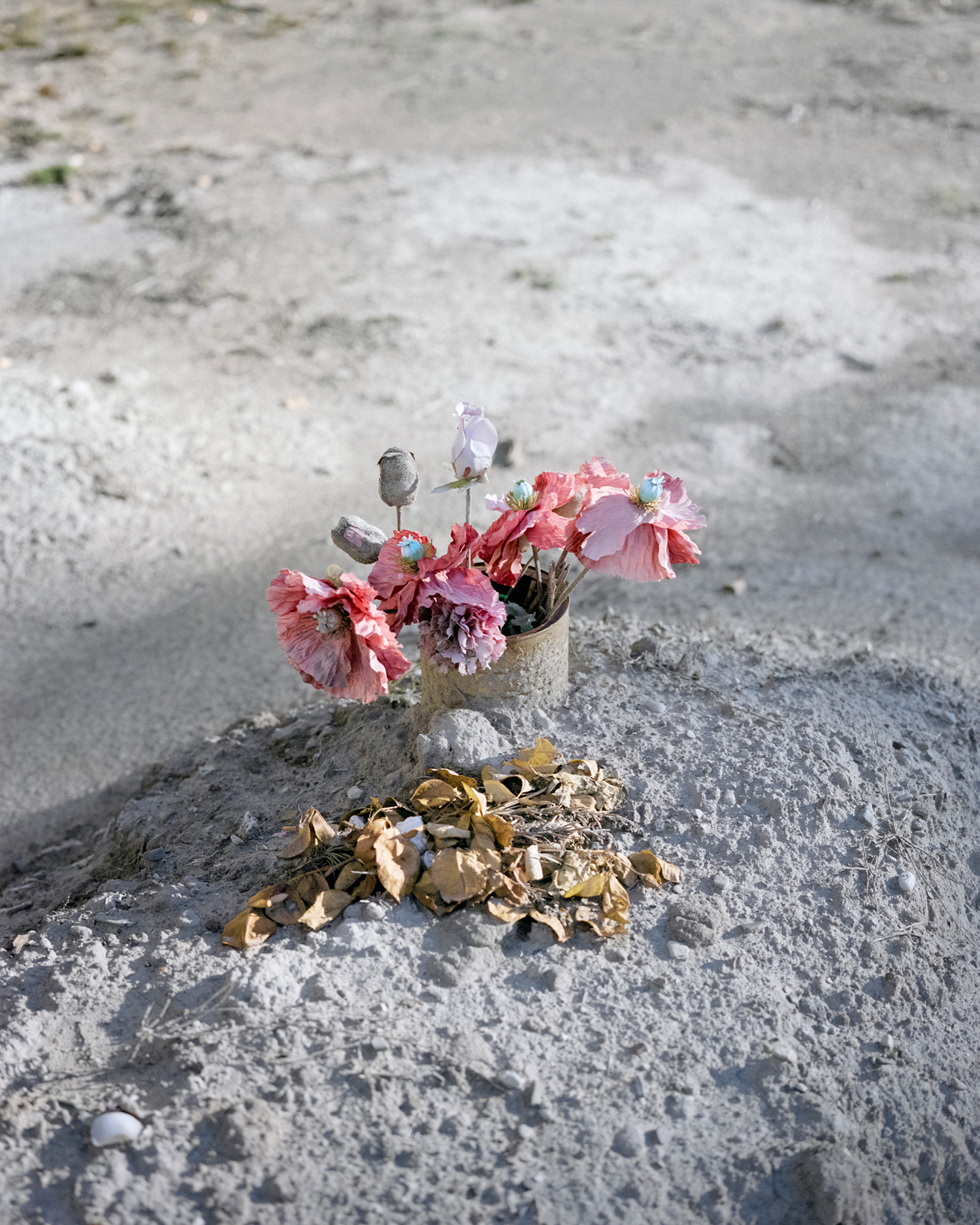 5 - Ballads from the End of the Desert - 1a6f5580-e84e-4a17-a157-a82be883dbd2.jpg