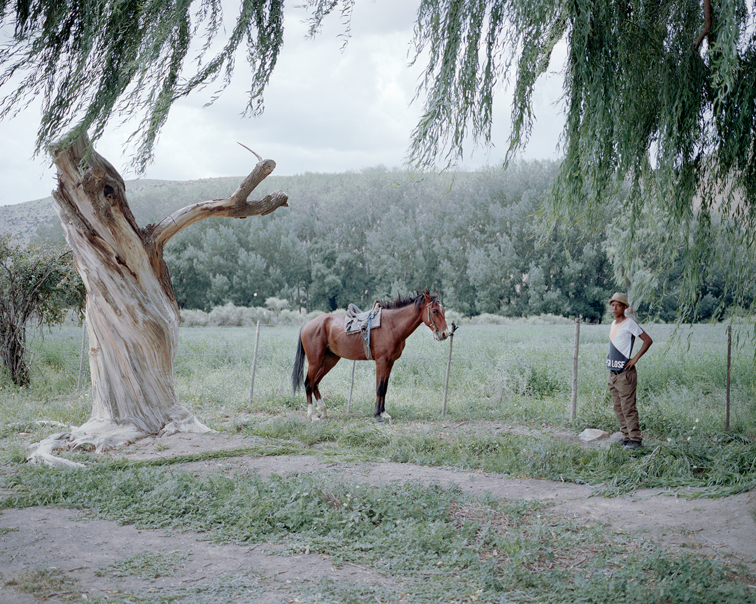 2 - Ballads from the End of the Desert - 2e06c8ff-6efc-46a8-8591-4aac9dd48dfb.jpg