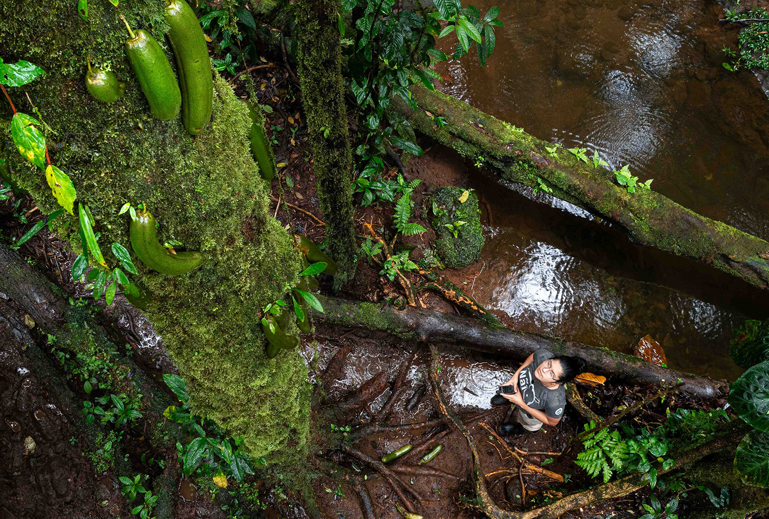 Tales of the Guardian's of the Forest: Safeguarding a fragile bond