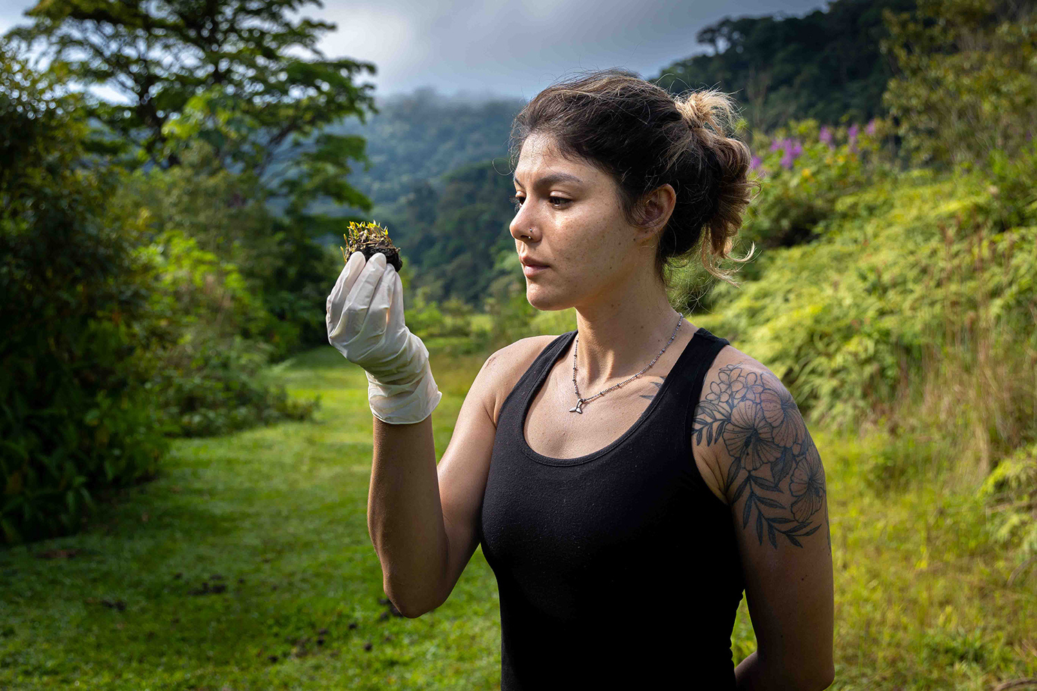 Tales of the Guardian's of the Forest: Safeguarding a fragile bond