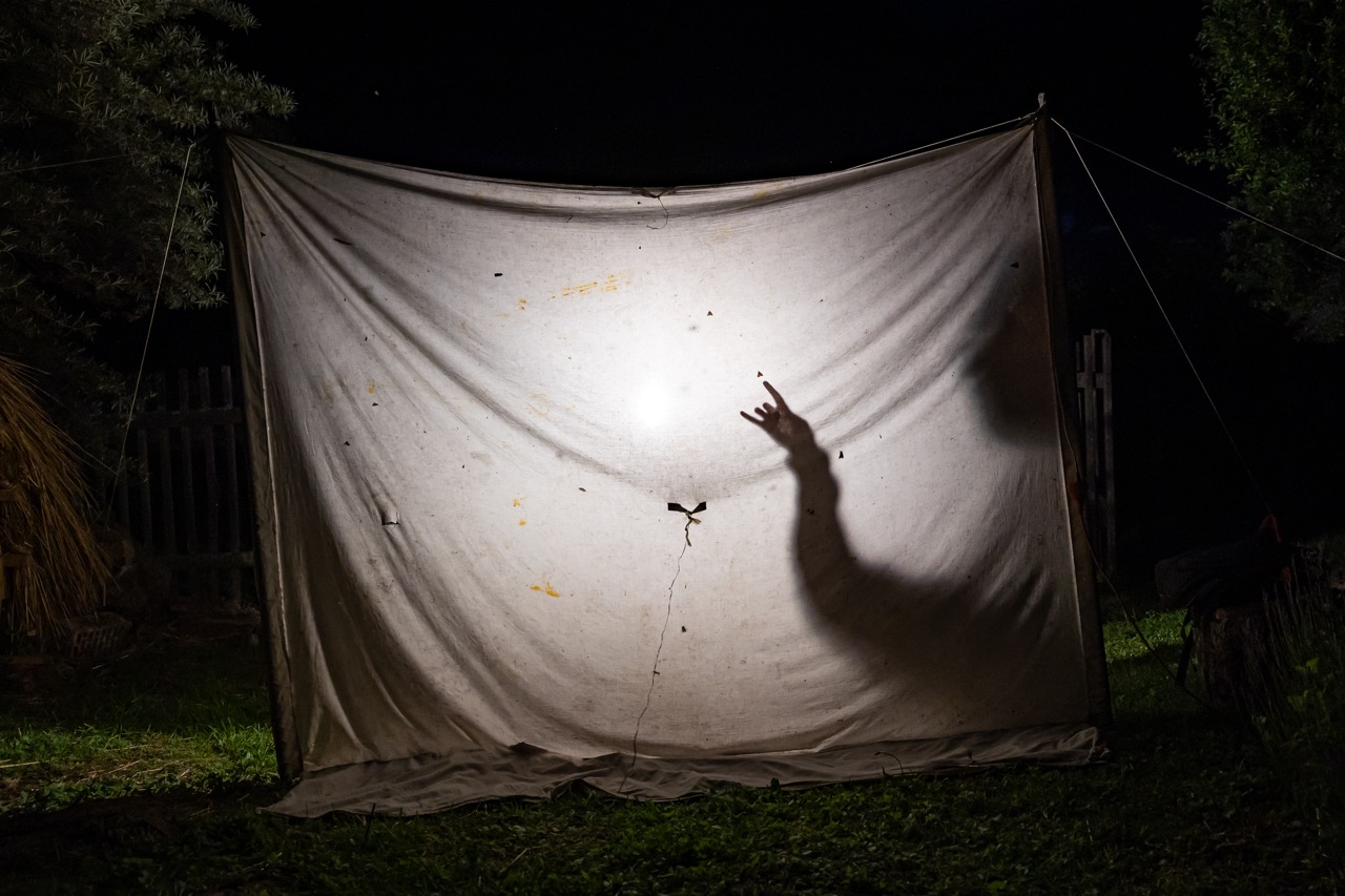 Groß (10 - Citizen science in Hungary-10 - 17c0e931-c2c8-4971-98b9-1b4a33296c9c).jpeg