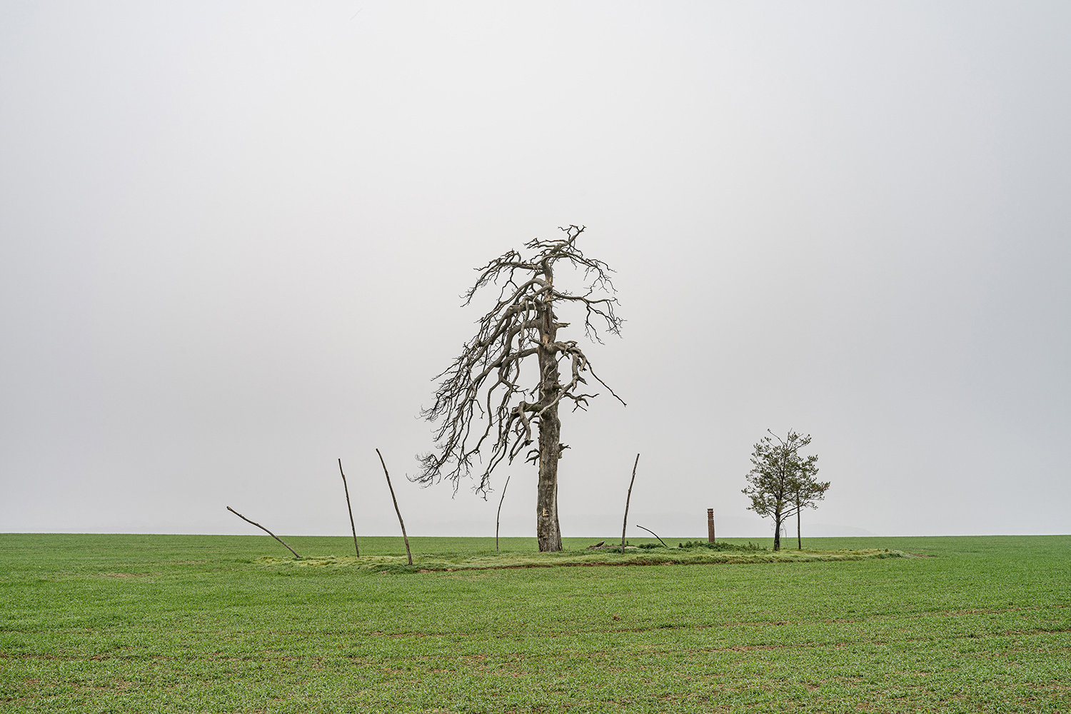 10 - On the trace of climate change-26 - b43837f1-90da-4a5d-82d4-bd42976f535b.jpg