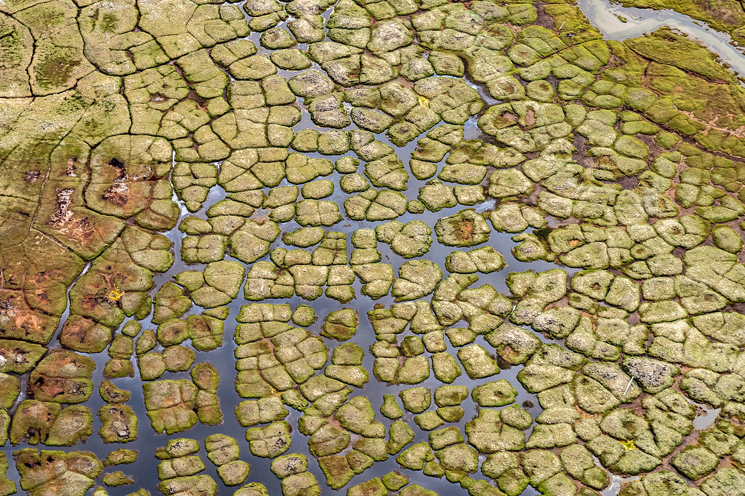 Permafrost, this cold that is no longer eternal