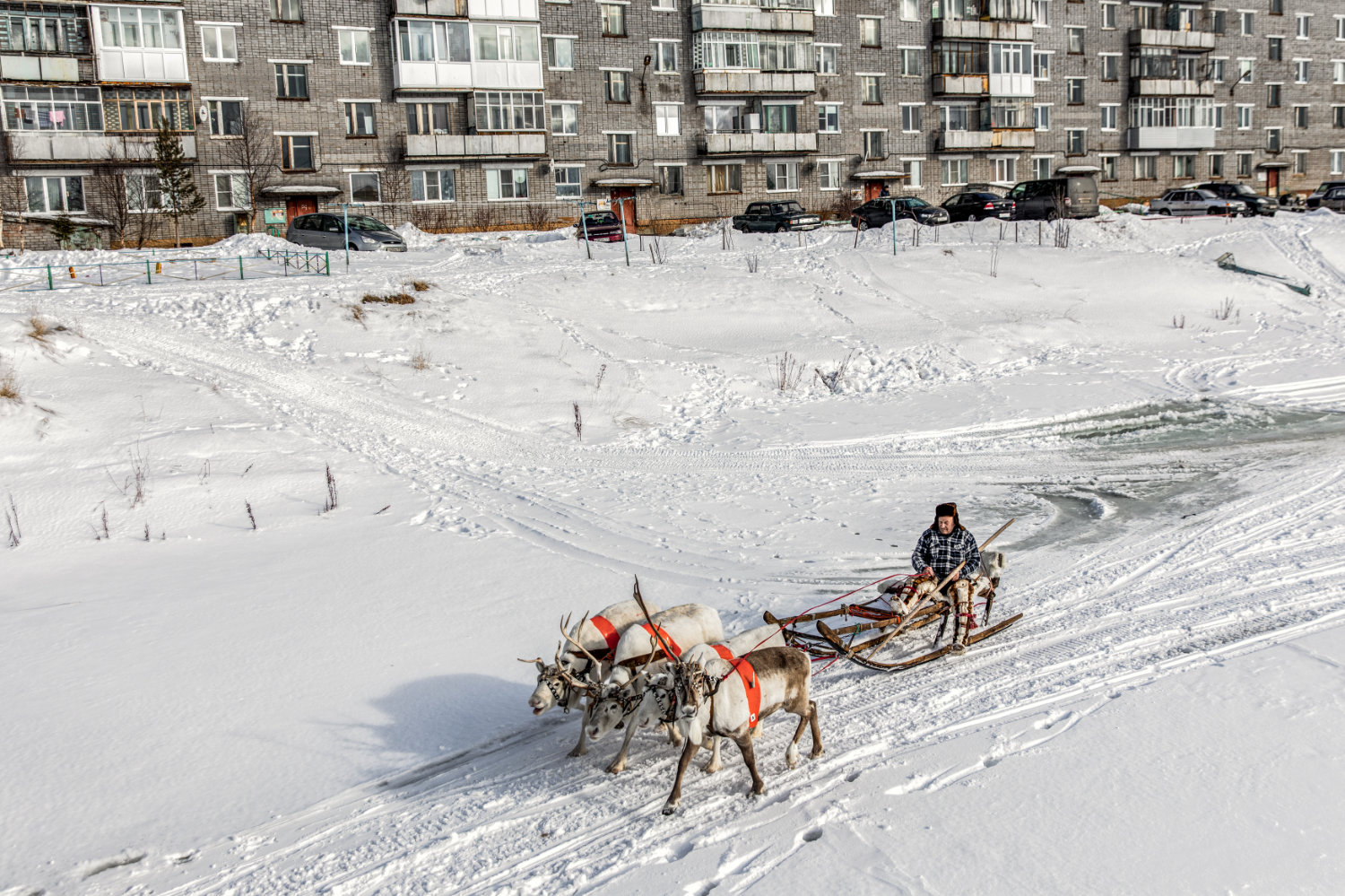 Saamis, we used to live in the Tundra.