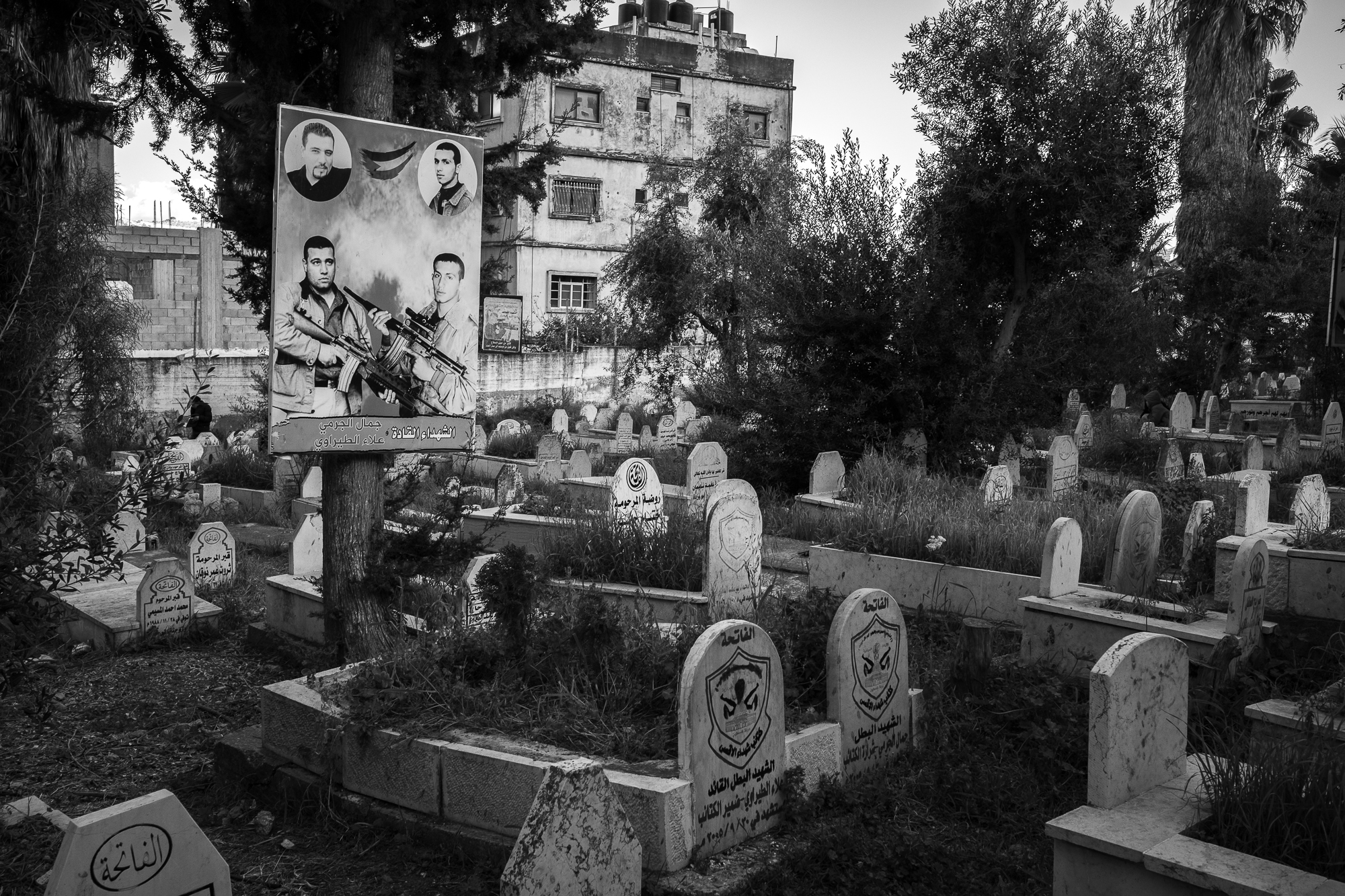 Westbank: A Heart in the Shadow