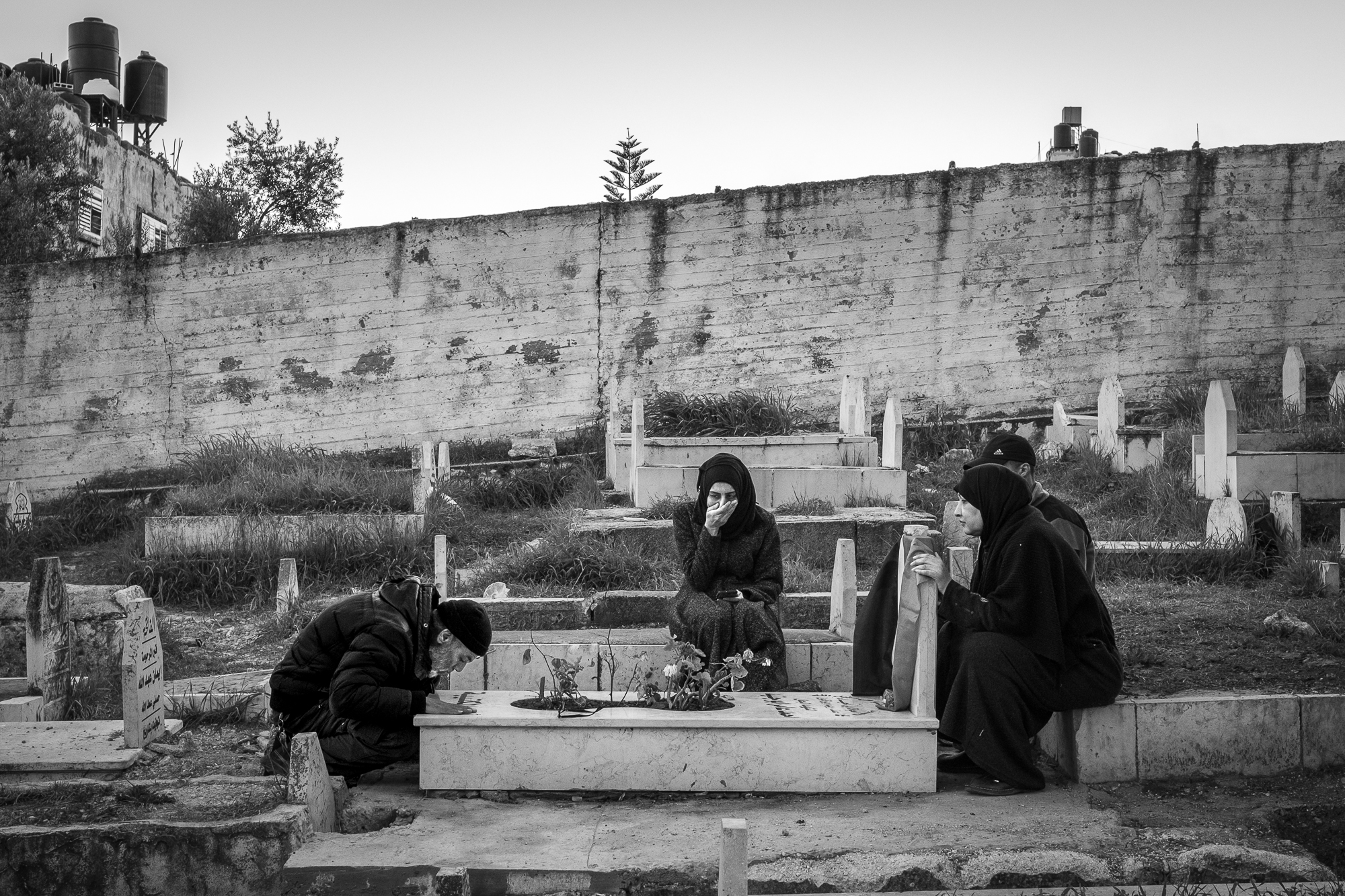 Westbank: A Heart in the Shadow
