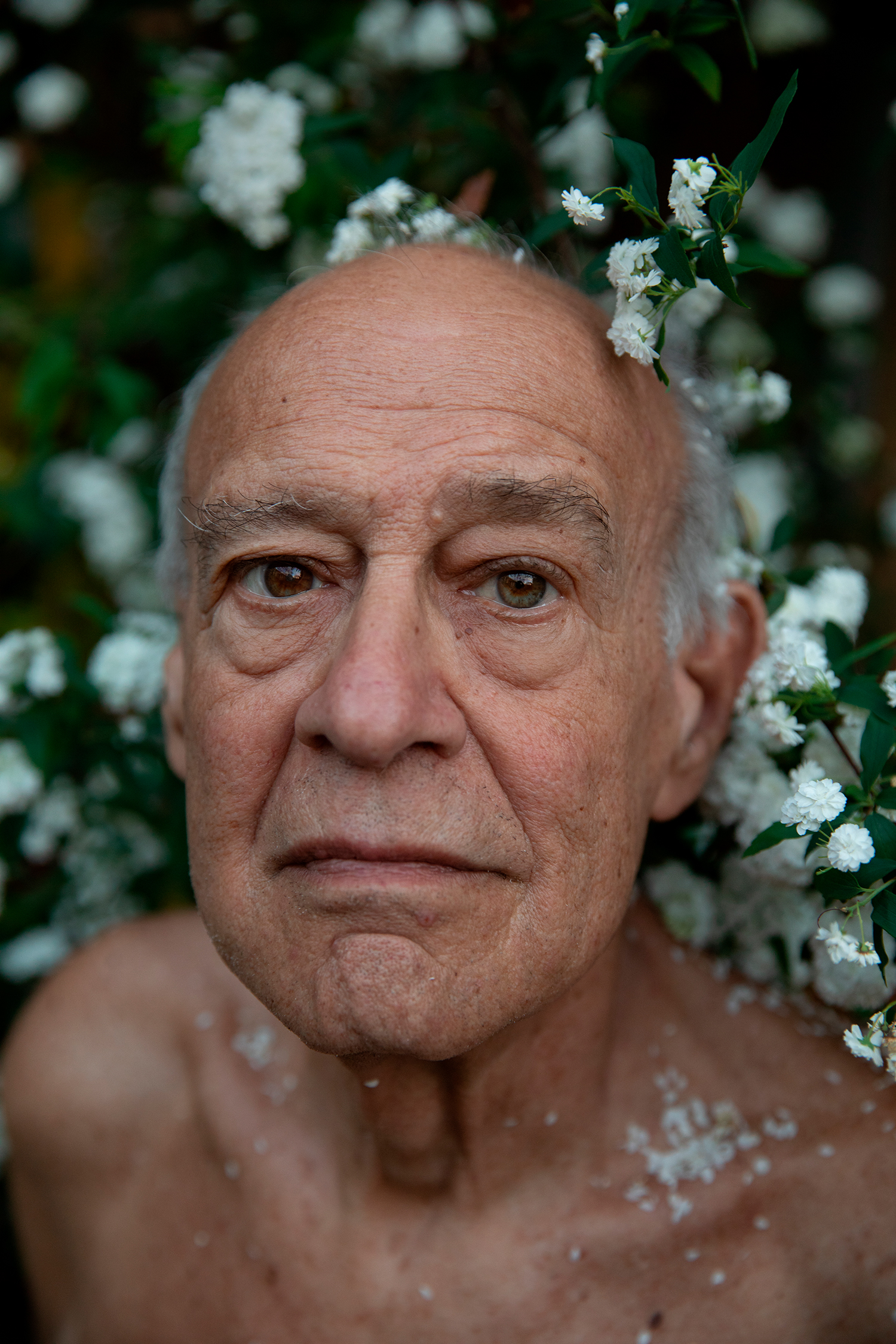 Transparent Curtains: Aging through the eyes of gay elders