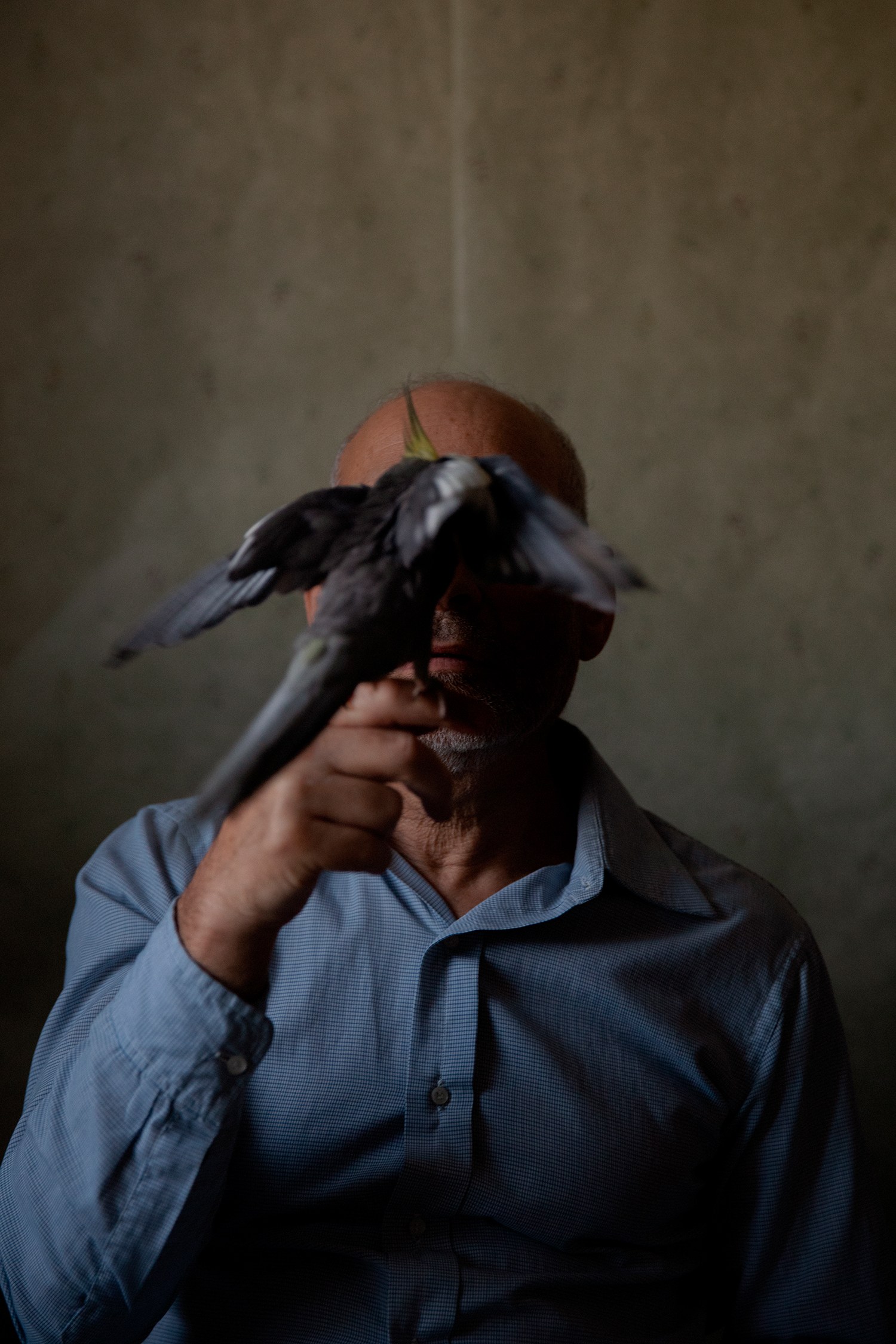 Transparent Curtains: Aging through the eyes of gay elders