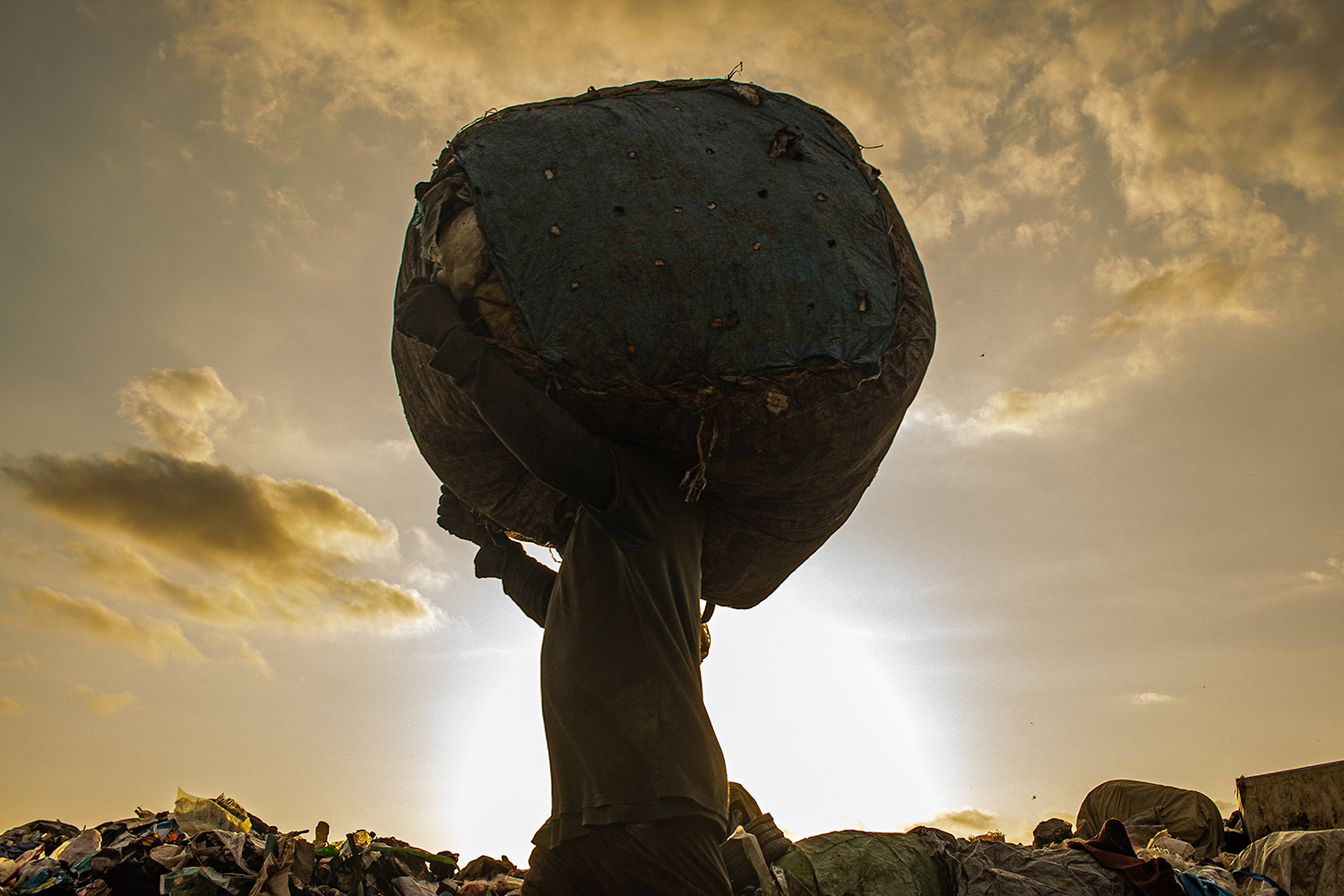 Guardians of Gaia: The Unseen Eco-Warriors