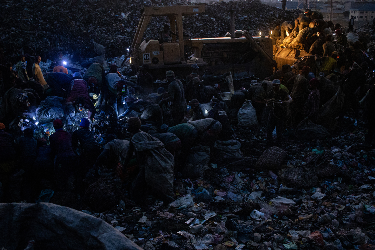 Guardians of Gaia: The Unseen Eco-Warriors