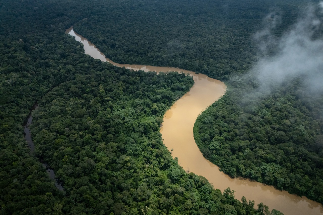Groß (1 - Waorani- The Indigenous Defenders of the Amazon - 5f5d8cfd-234f-450f-b8cd-dde458.jpeg