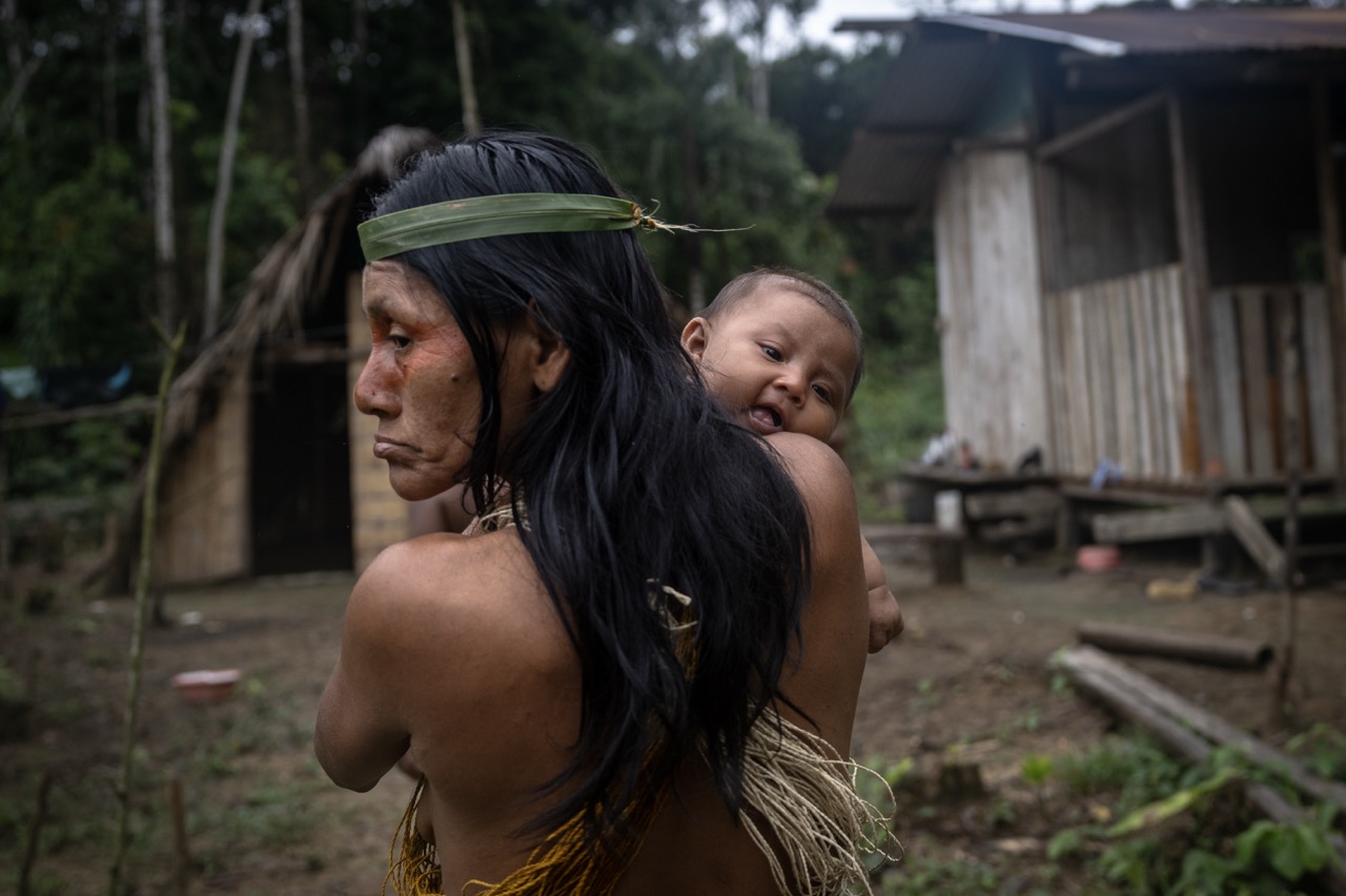 Groß (6 - Waorani- The Indigenous Defenders of the Amazon - 3ef83e18-edc2-44af-a7ea-68e3f4.jpeg